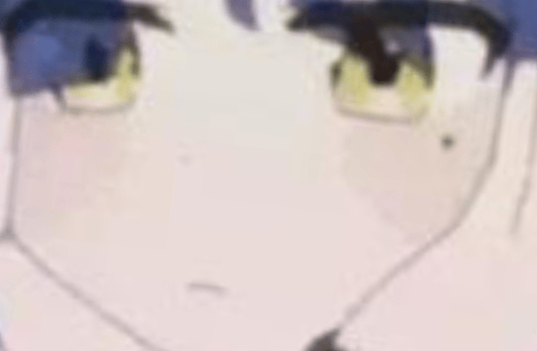 Ouki