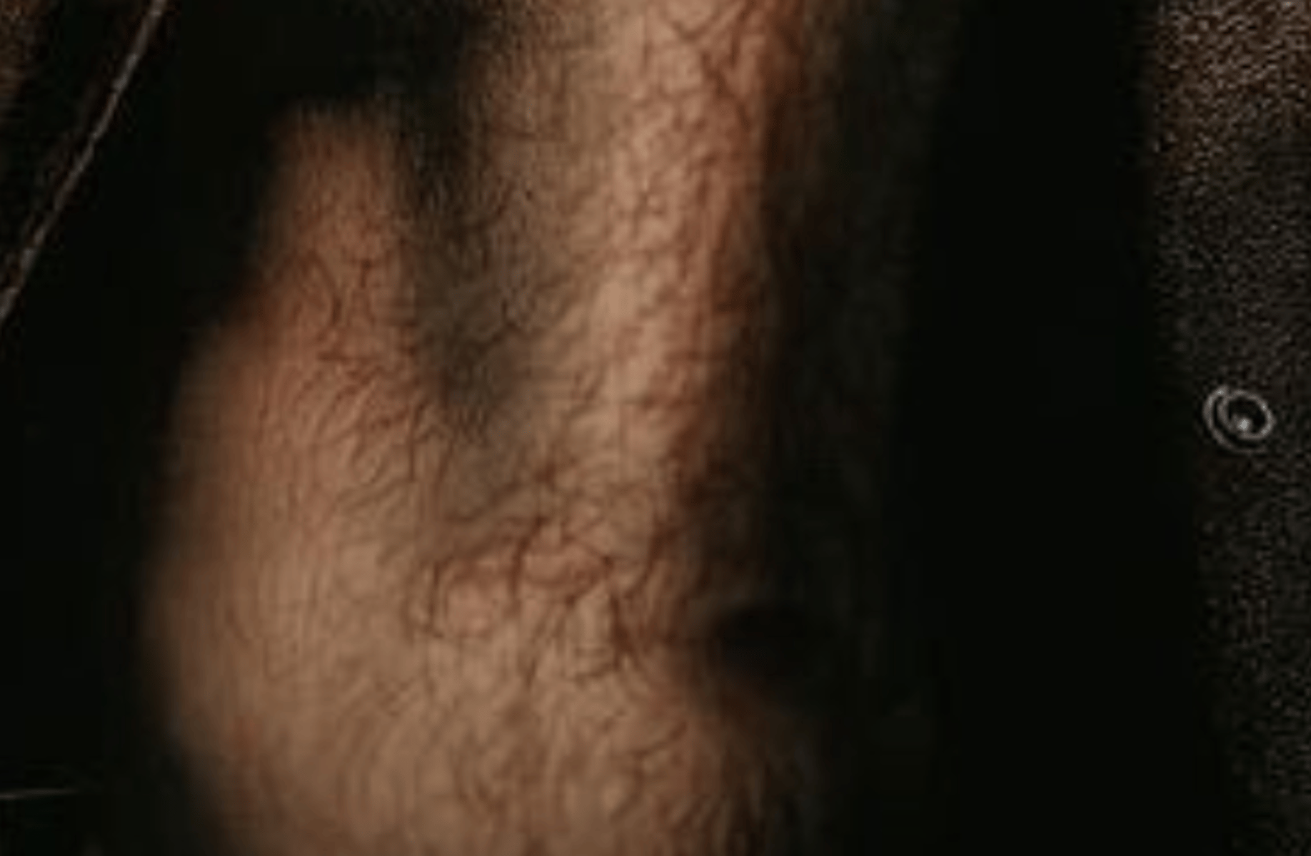 Uncle (RDR2)