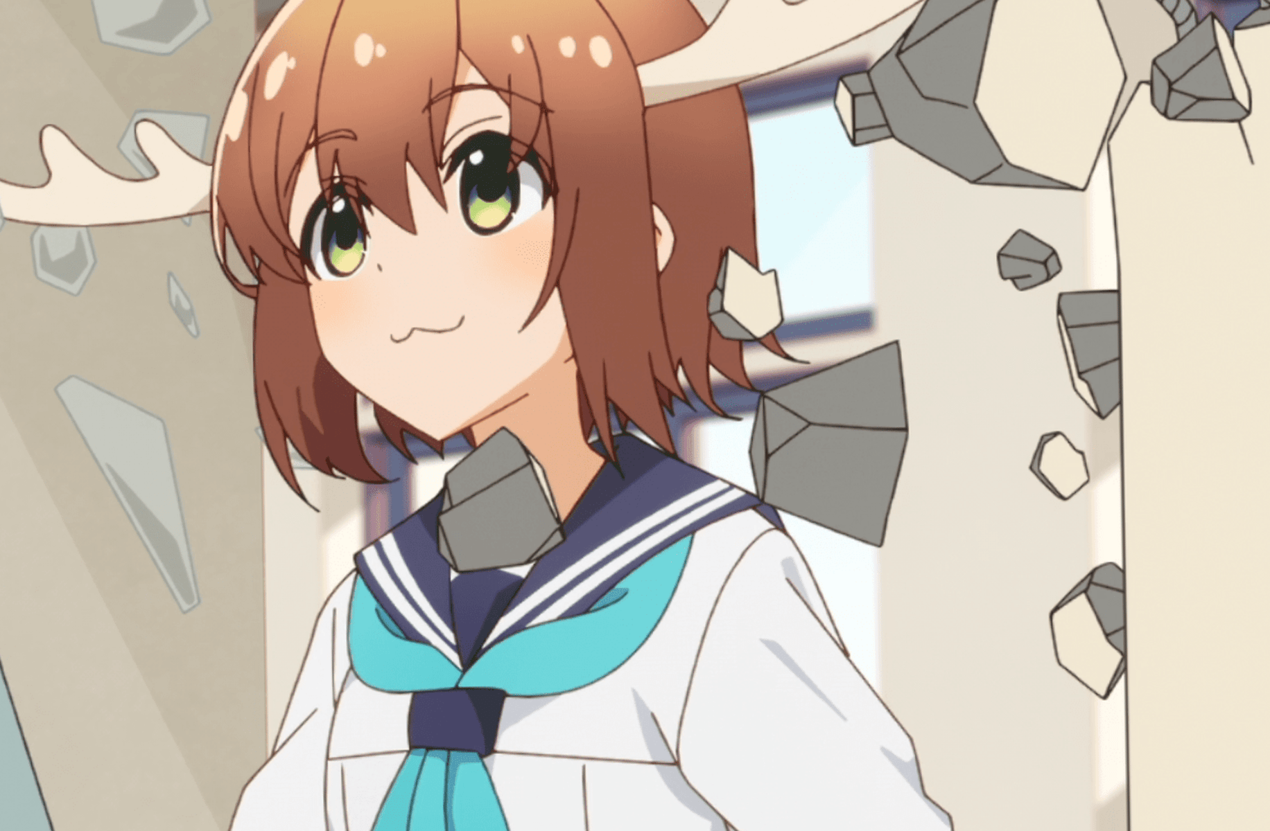 Nokotan