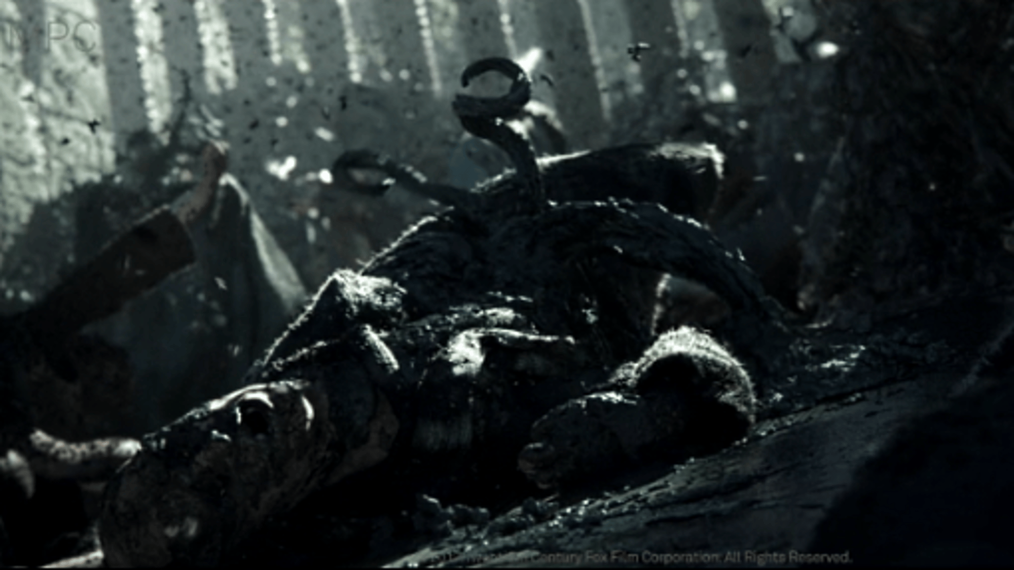 black goo infection