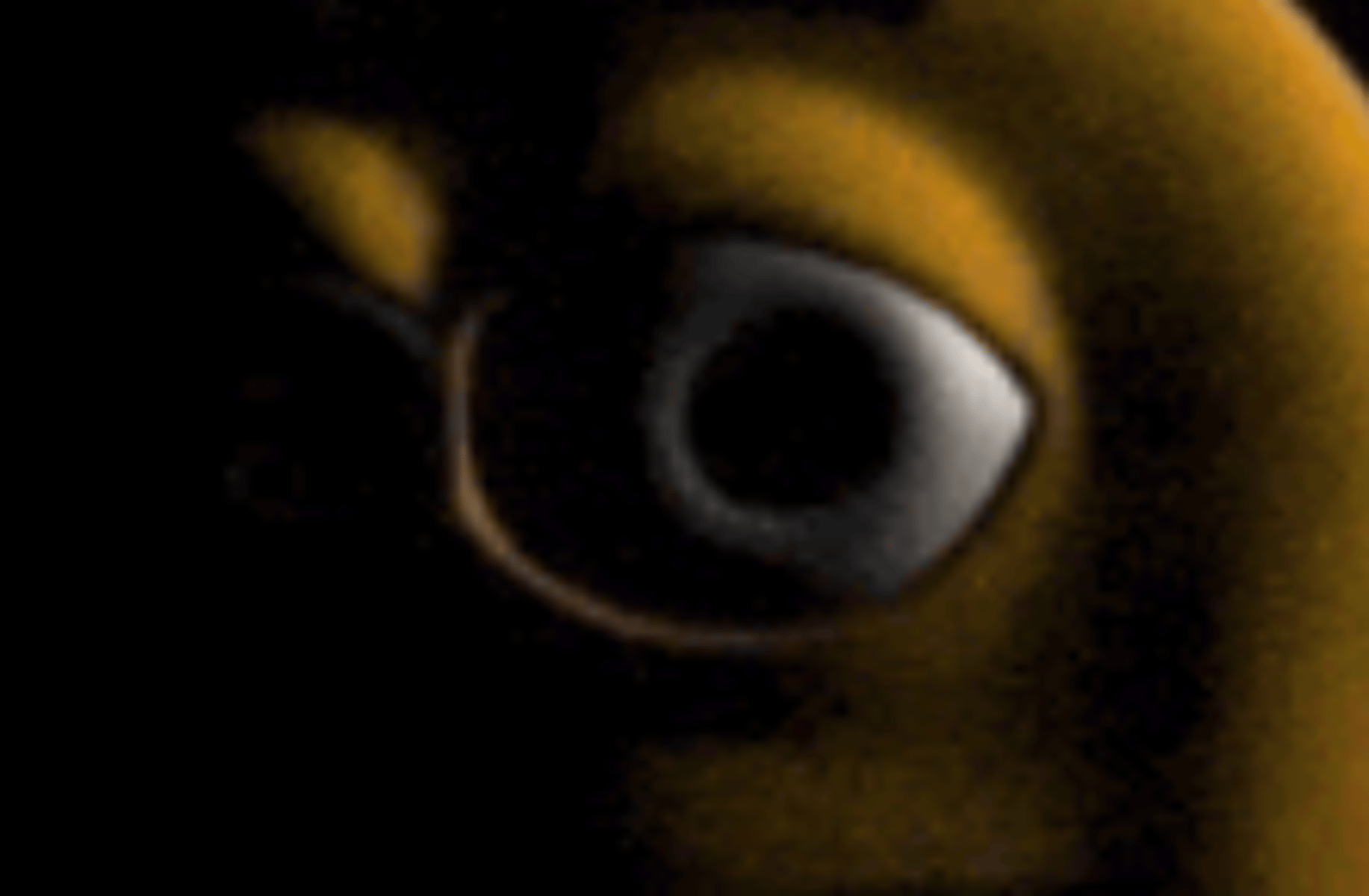 He knows what you did