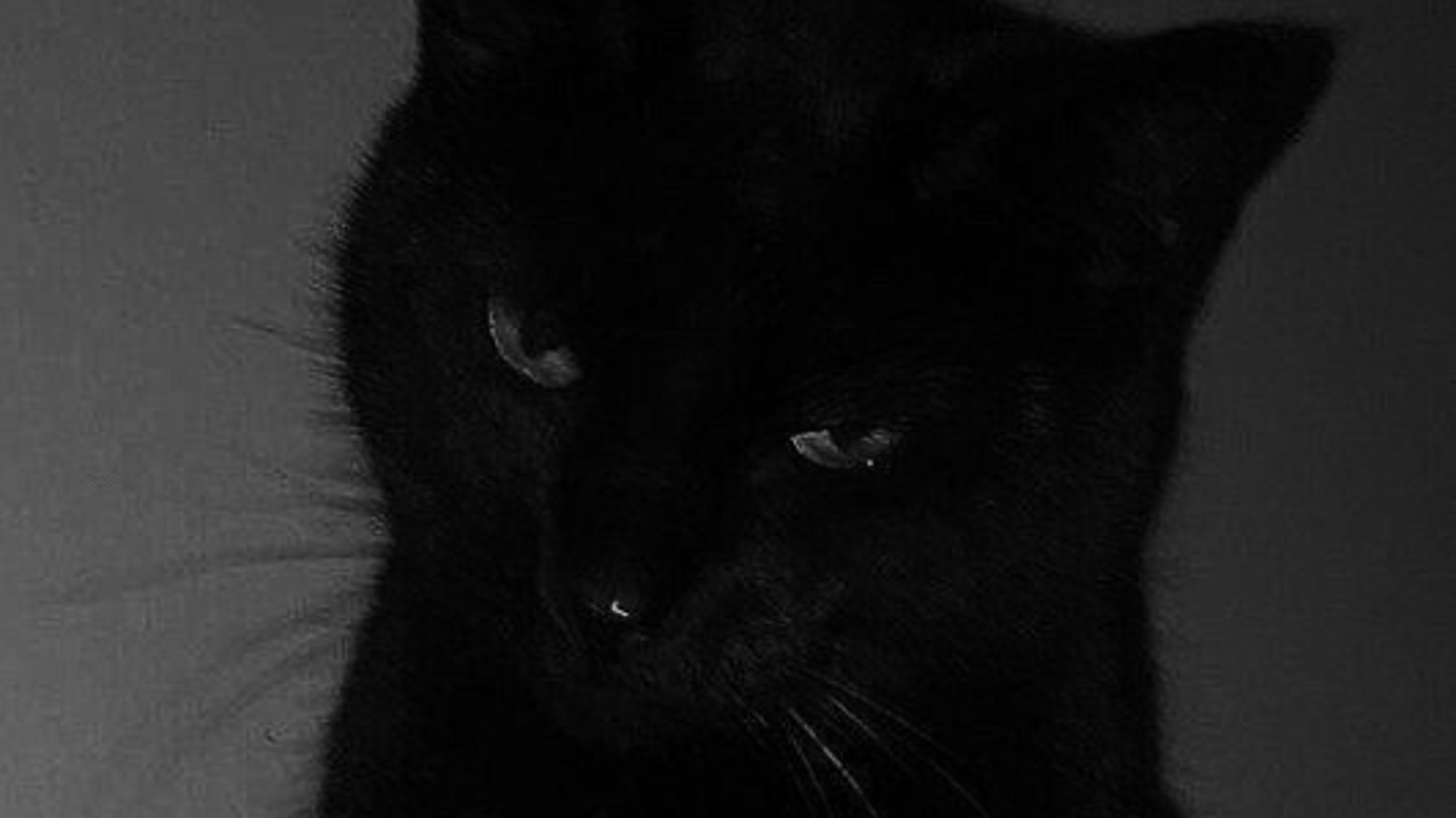 Luna (Emo Girl)