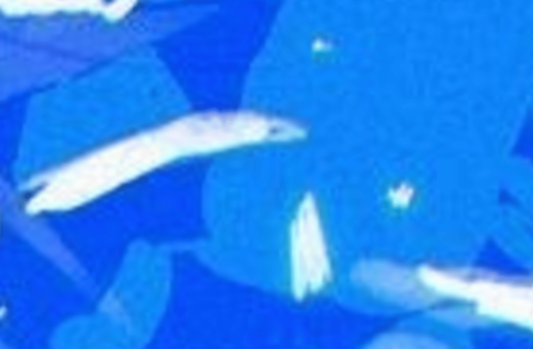Satoru Gojo (GOGE)