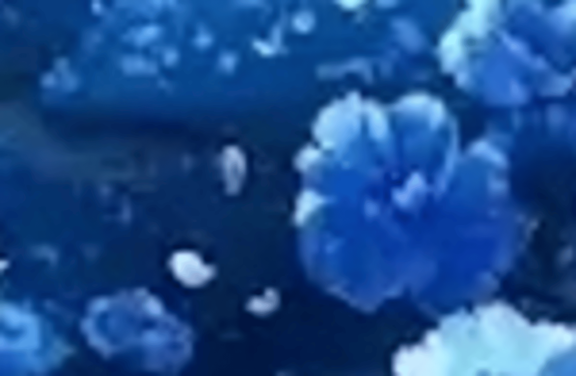 Your 3 homeless brothers