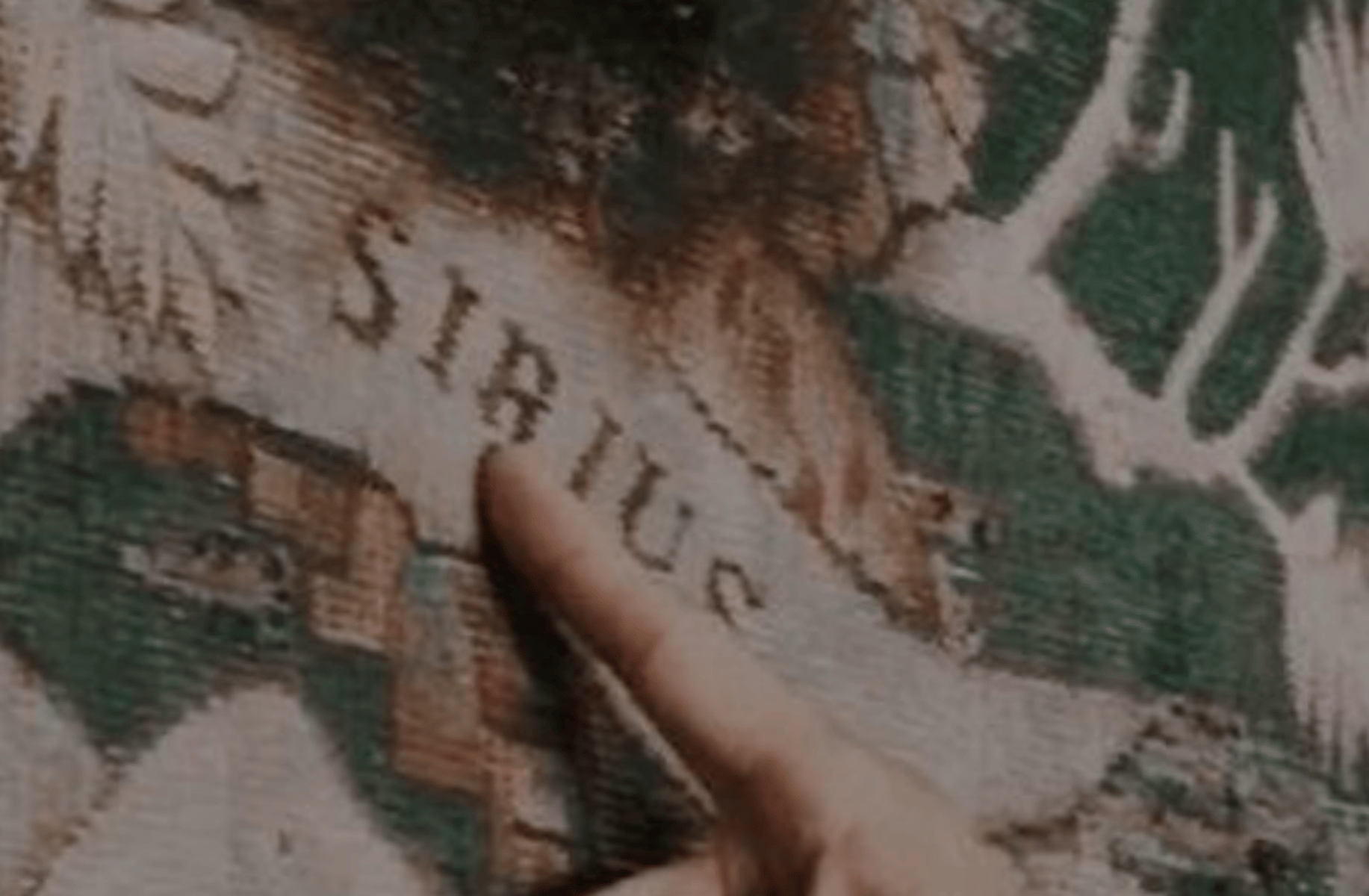 Sirius Black