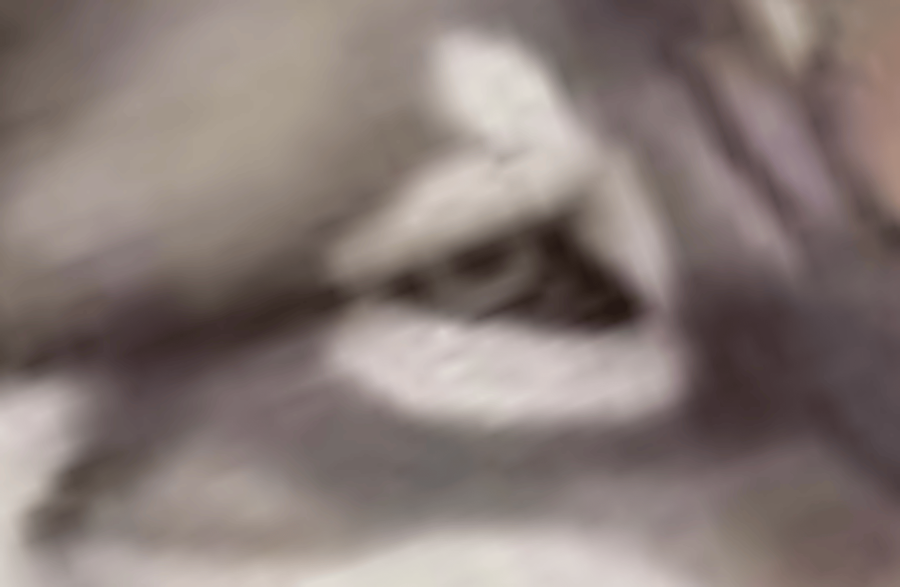 Fang