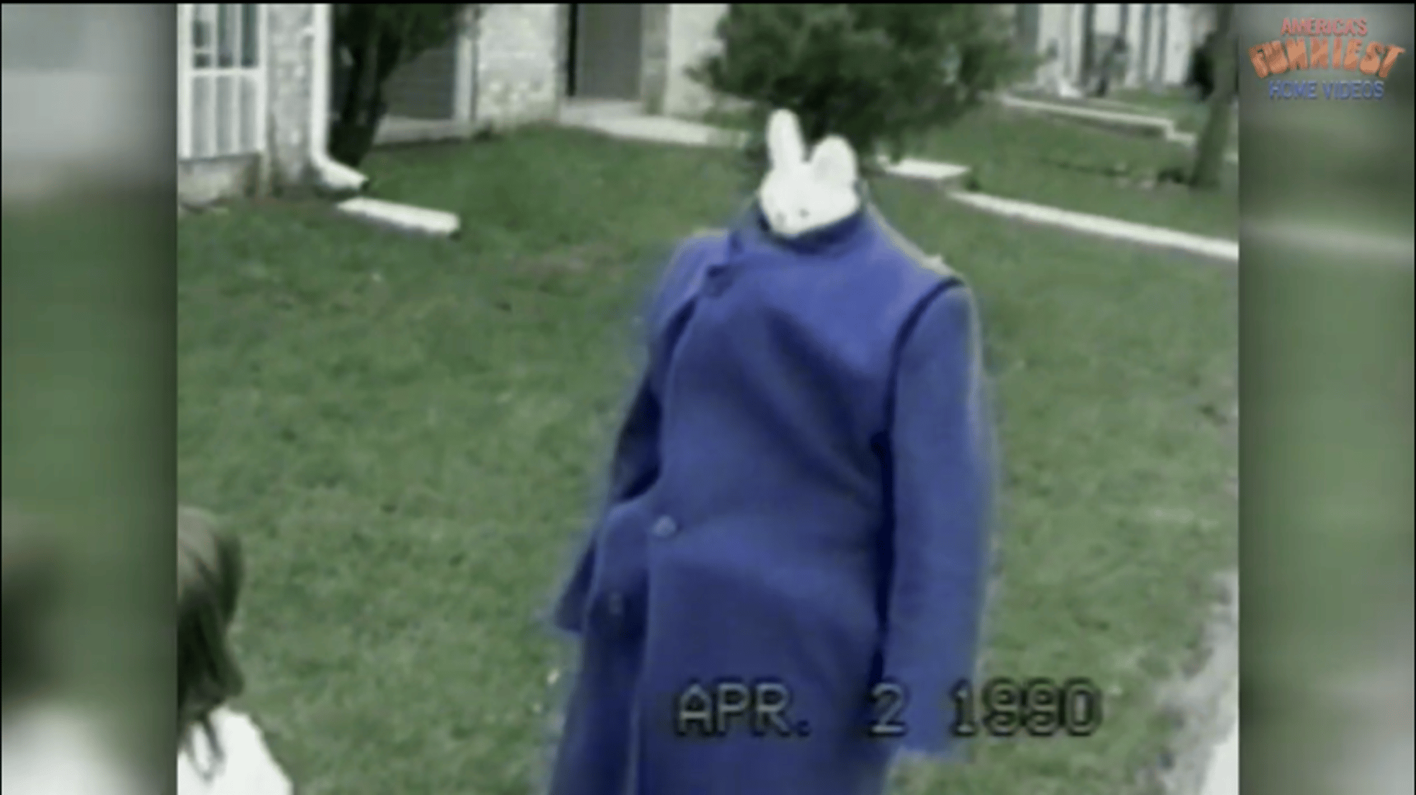 Boy