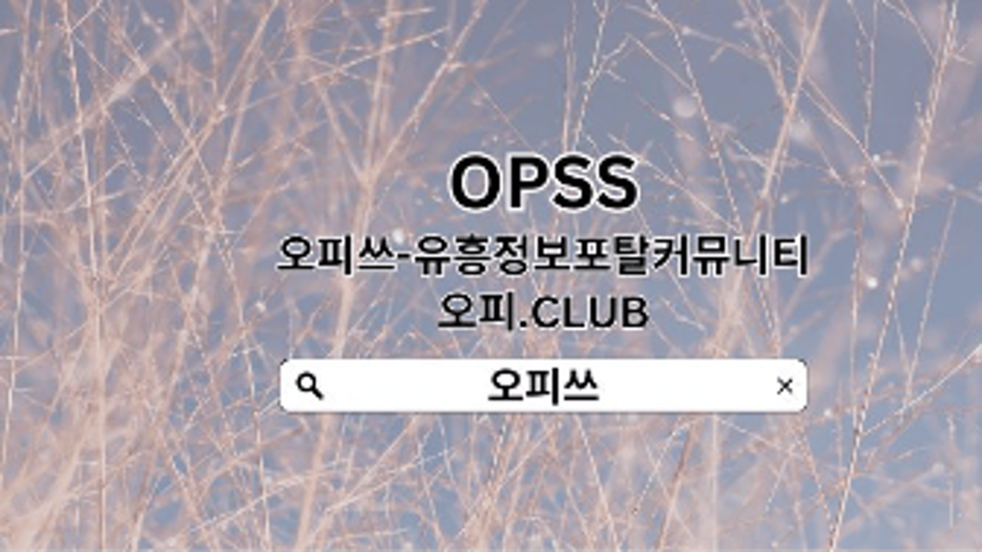 haeundaeop