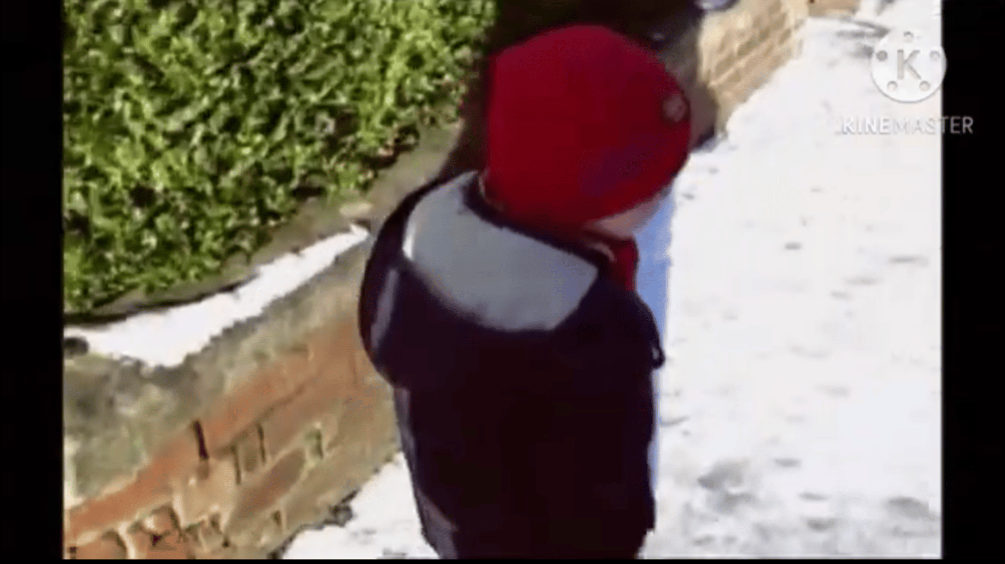 Boy