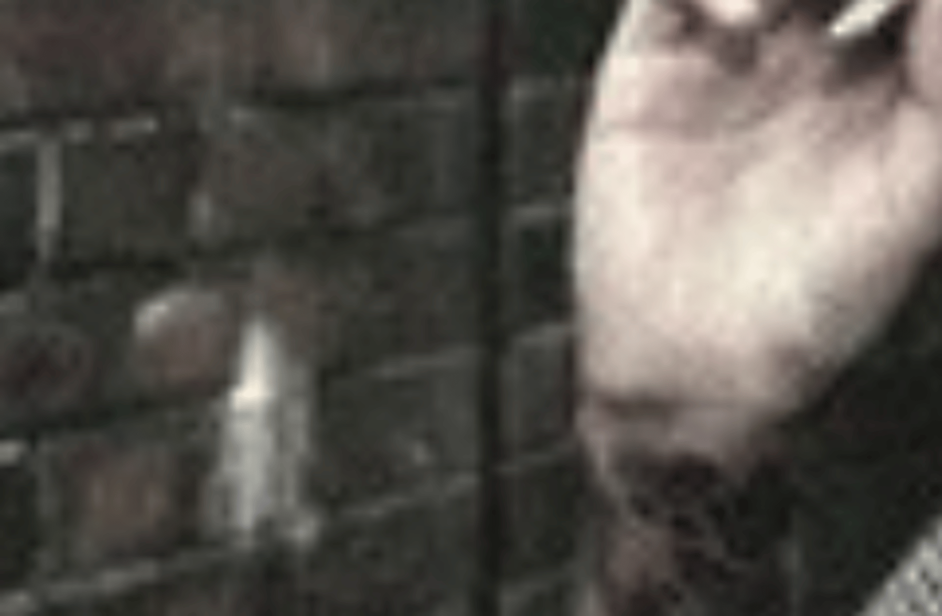 Blaithin Blake (Roach)