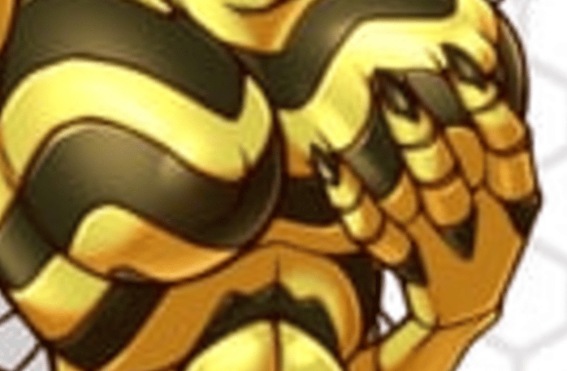 Queen wasp