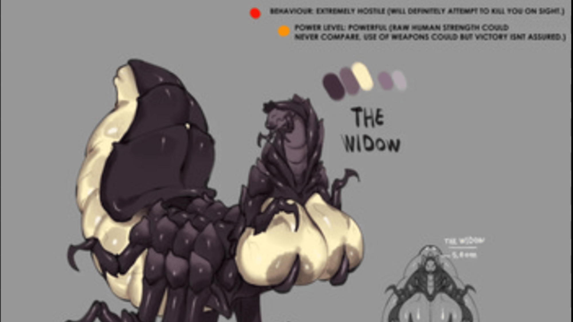 The Widow