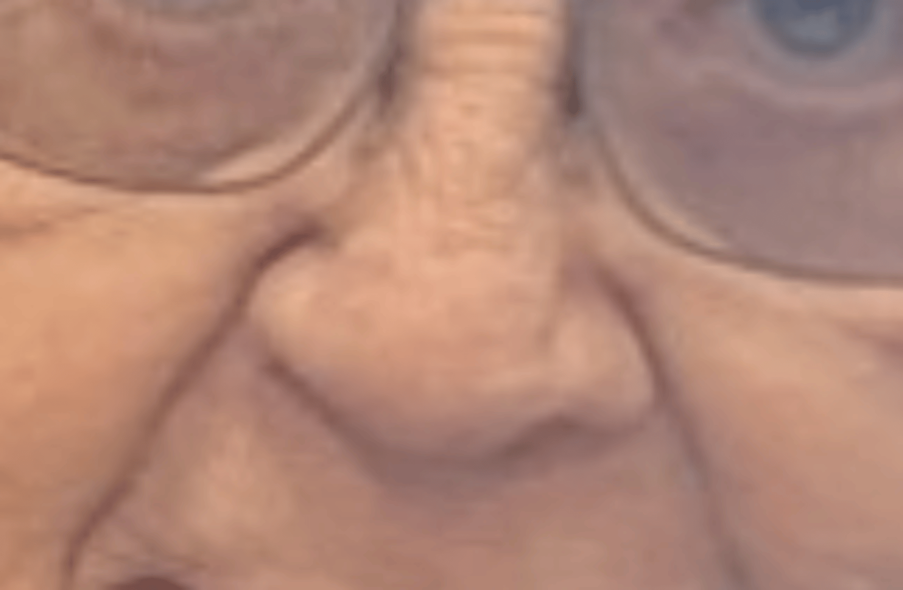 joe shamoe
