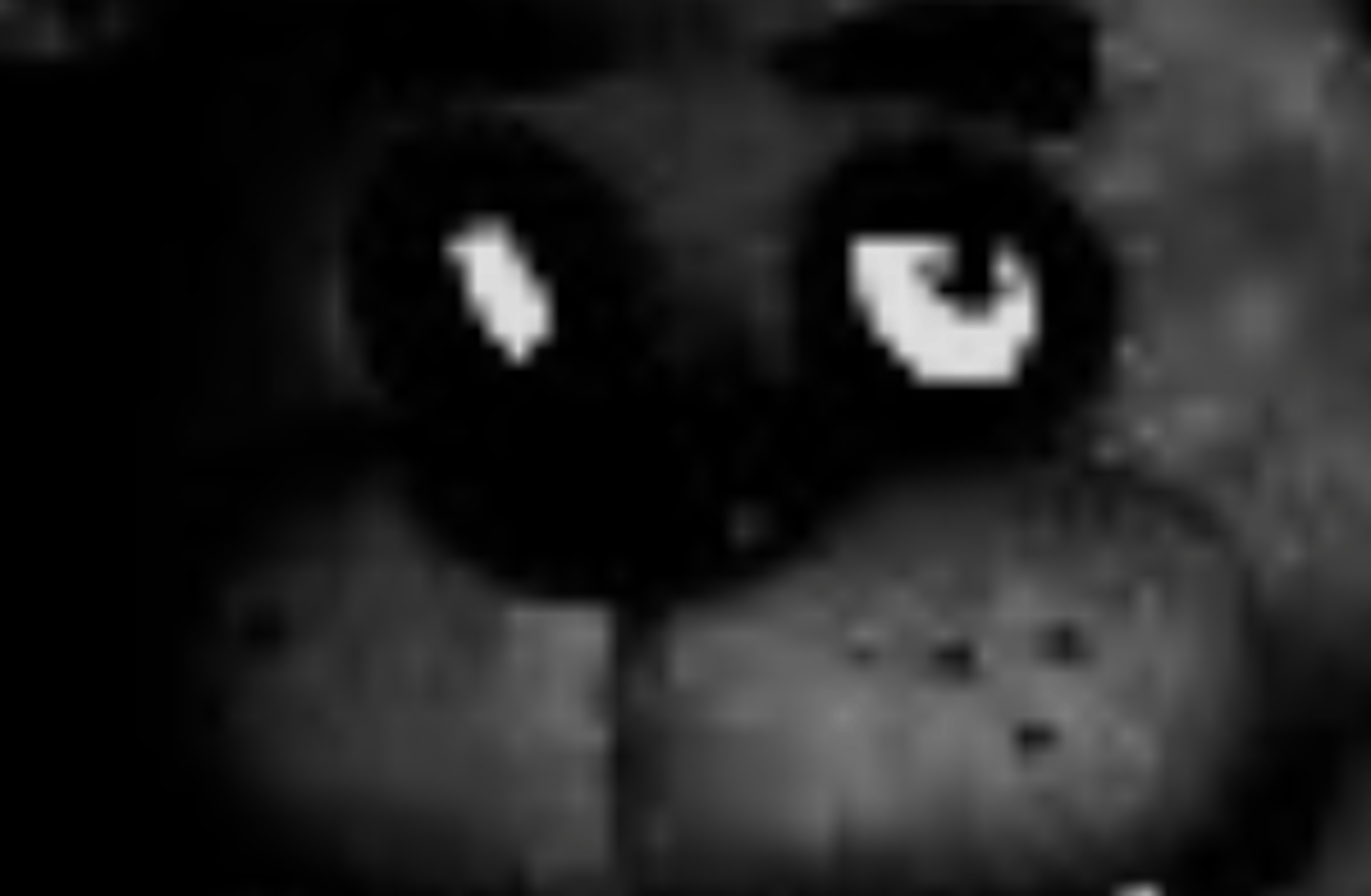 freedy faz bear(fnaf)