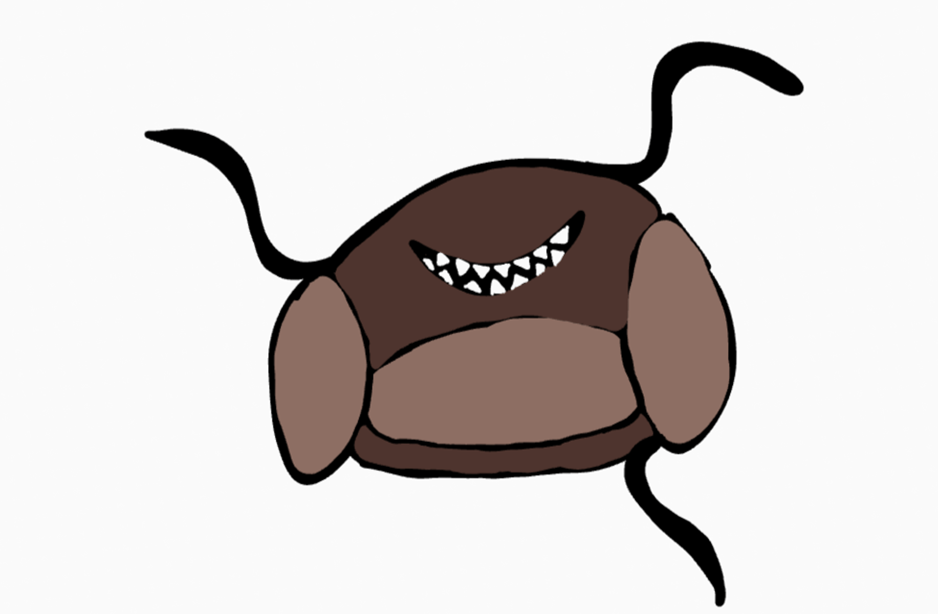 Shadow the couch