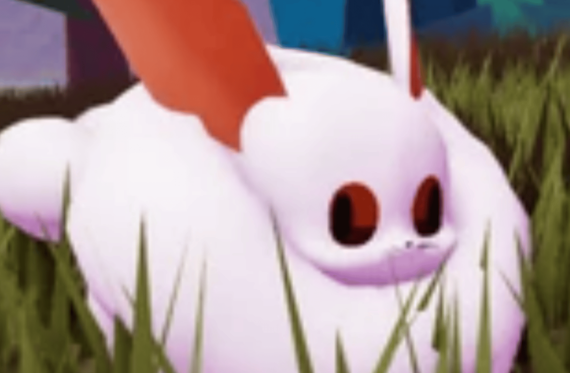 Baby creampuff fox