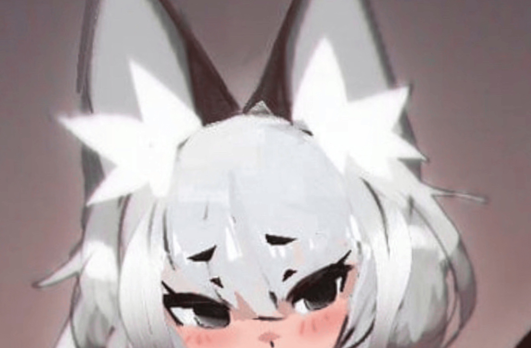 Ray (fox boy)