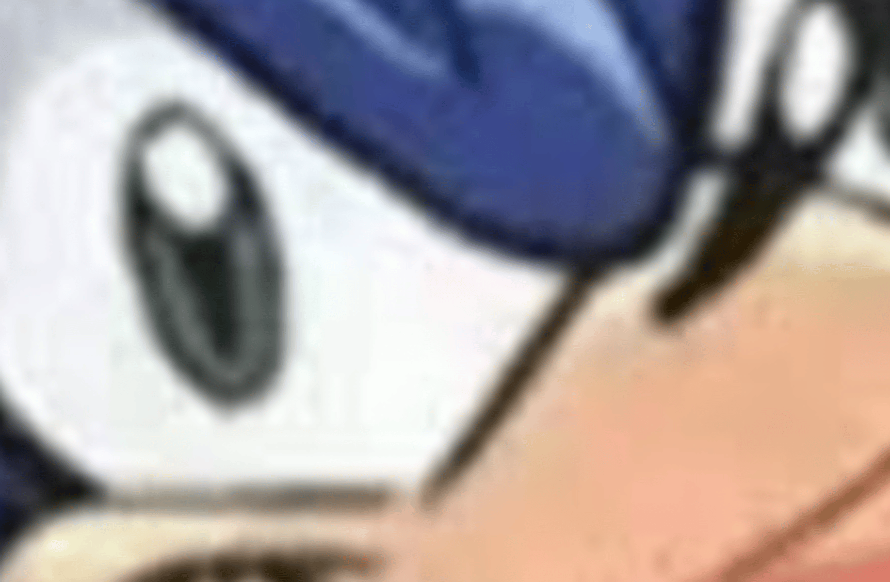 Sonic the hedgehog!