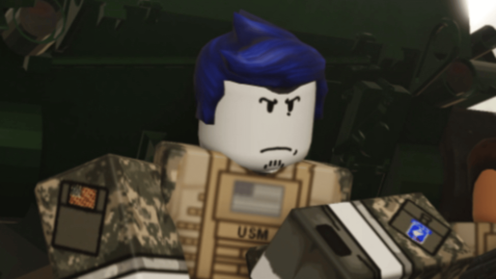 Guest 1337