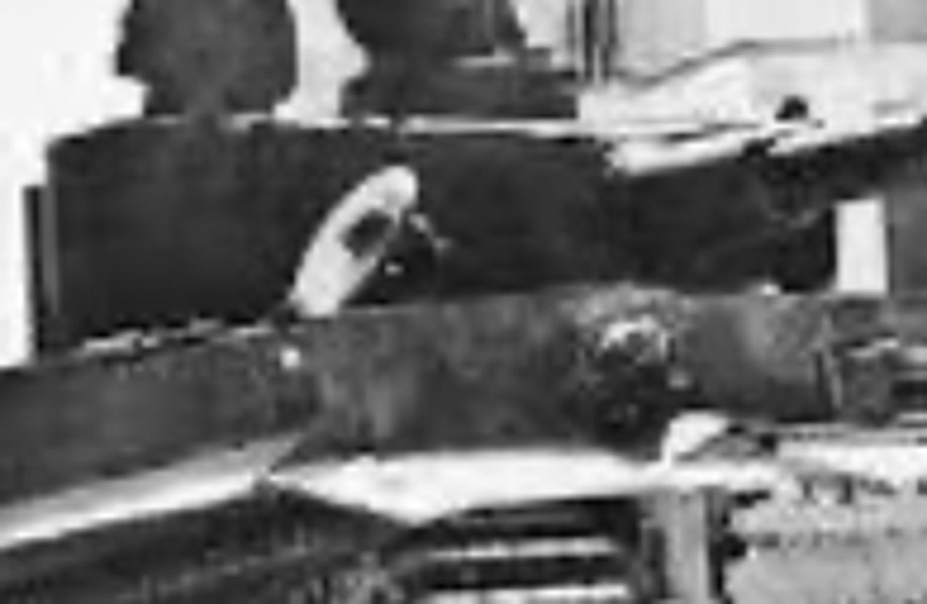 Tank tiger