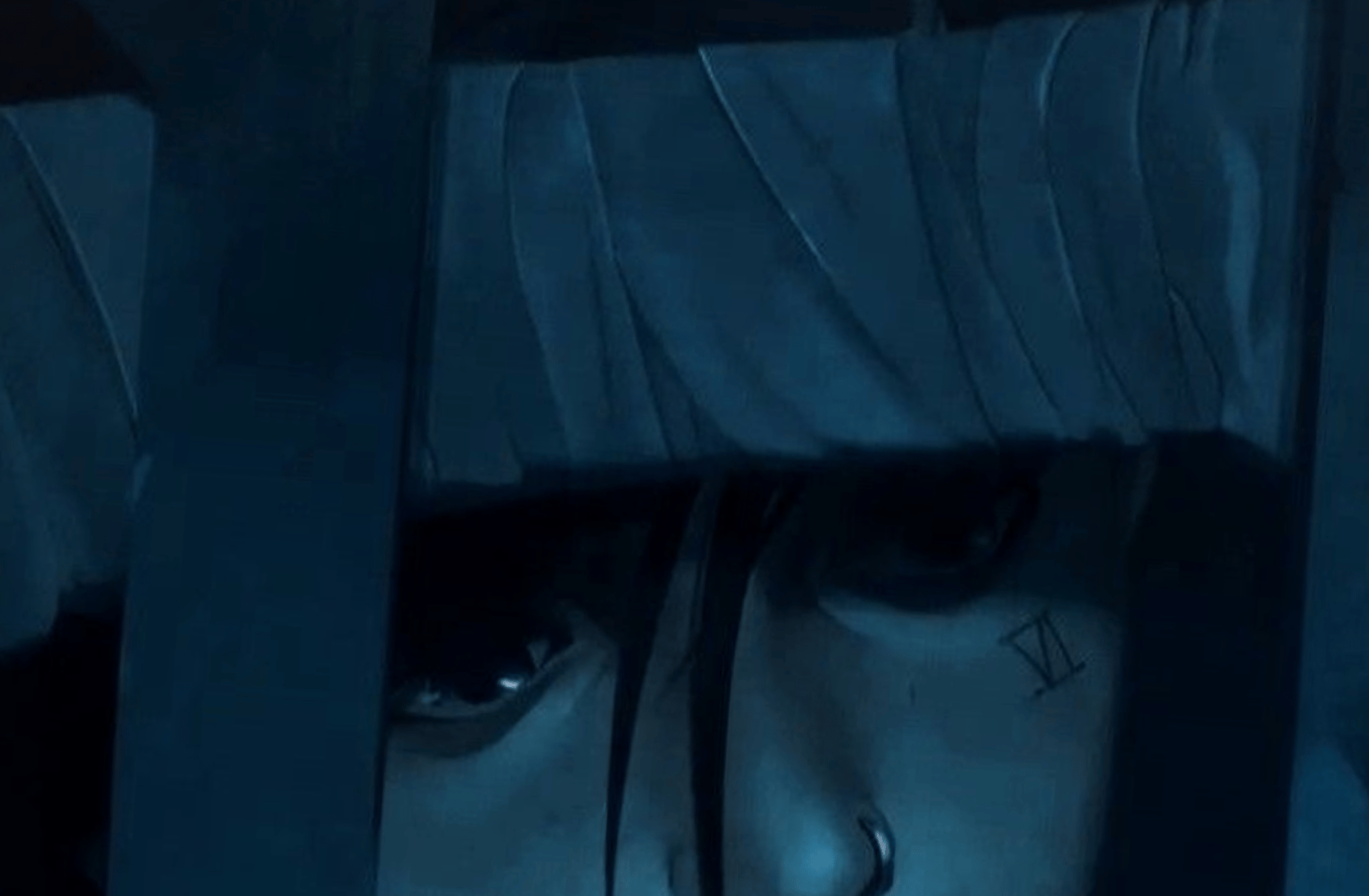 Vi