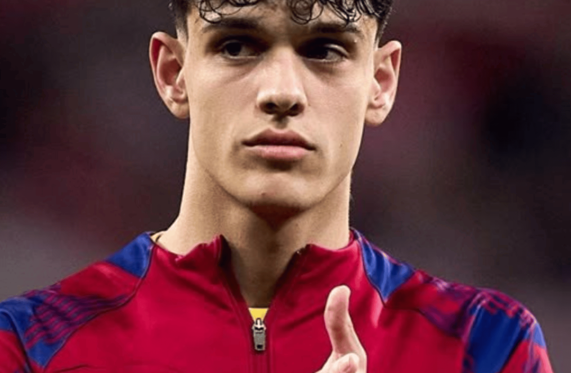 Hector Fort