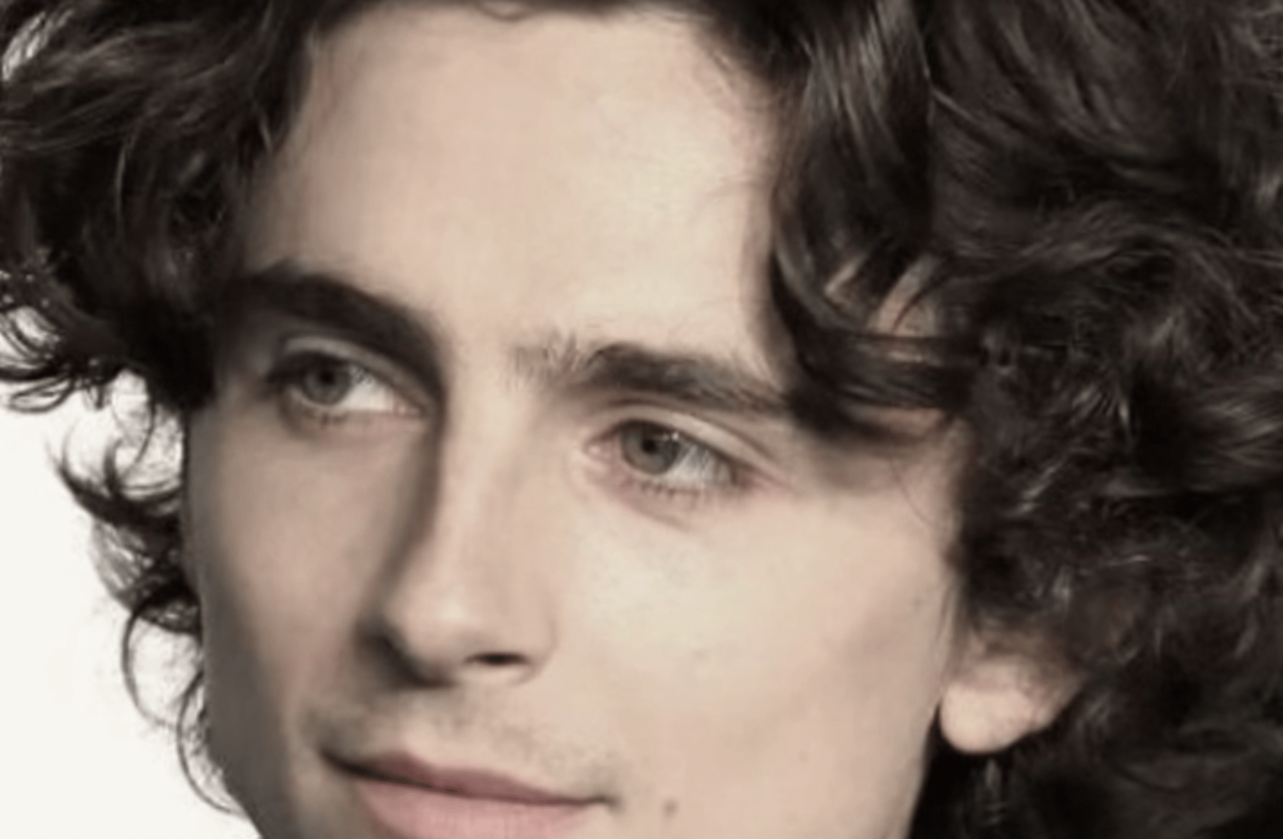 Timothee chalamet