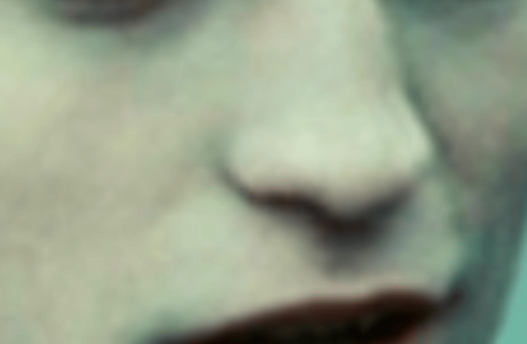 Edward Cullen