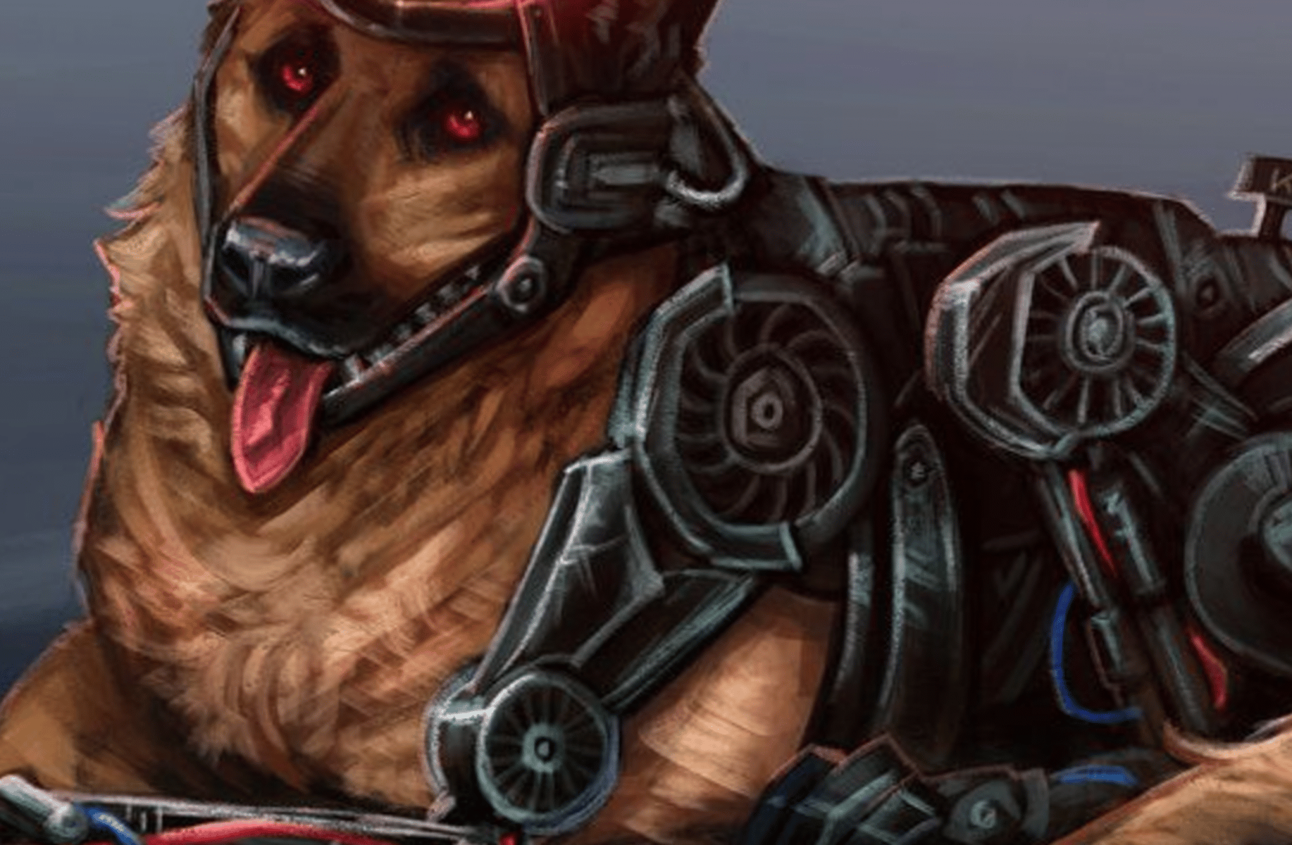K-9
