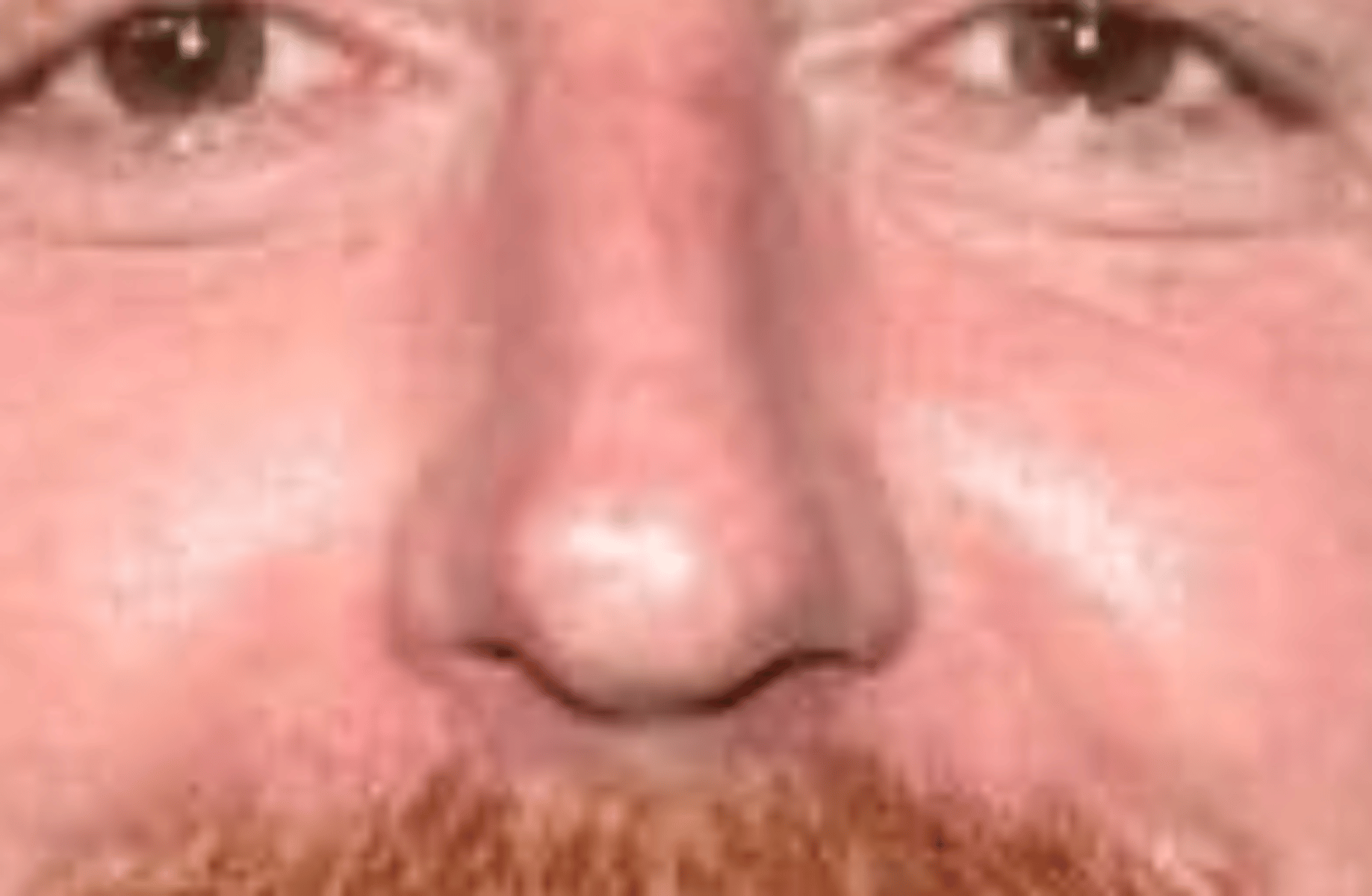 Scott Grimes