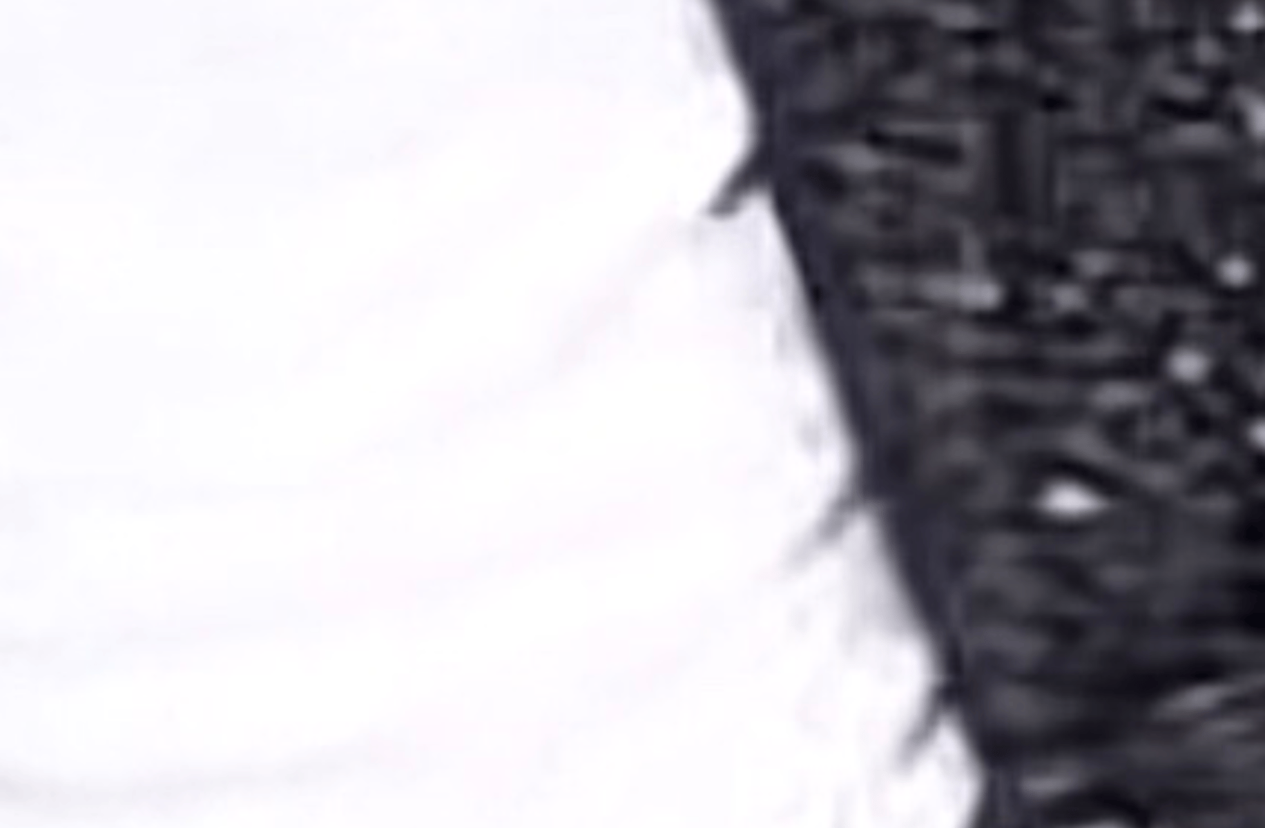 Isber