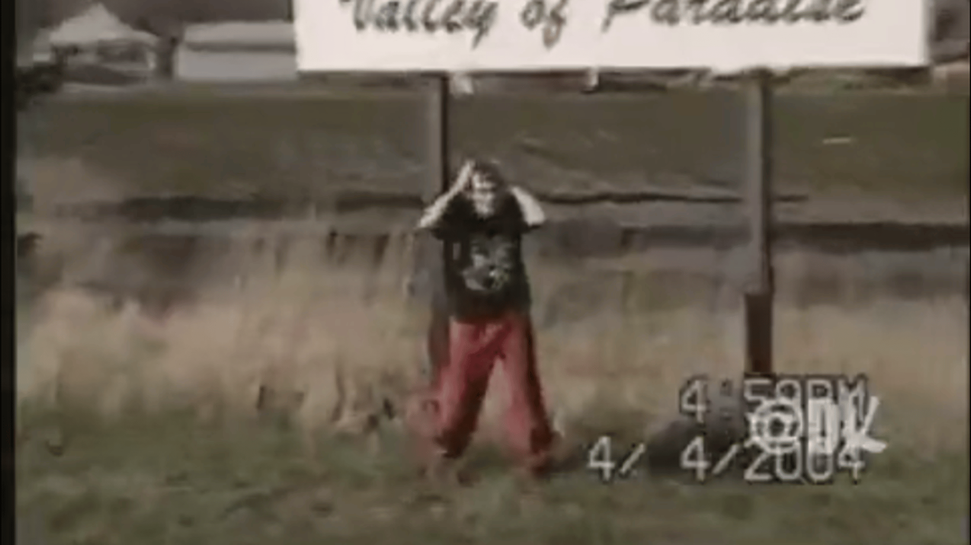 Boy