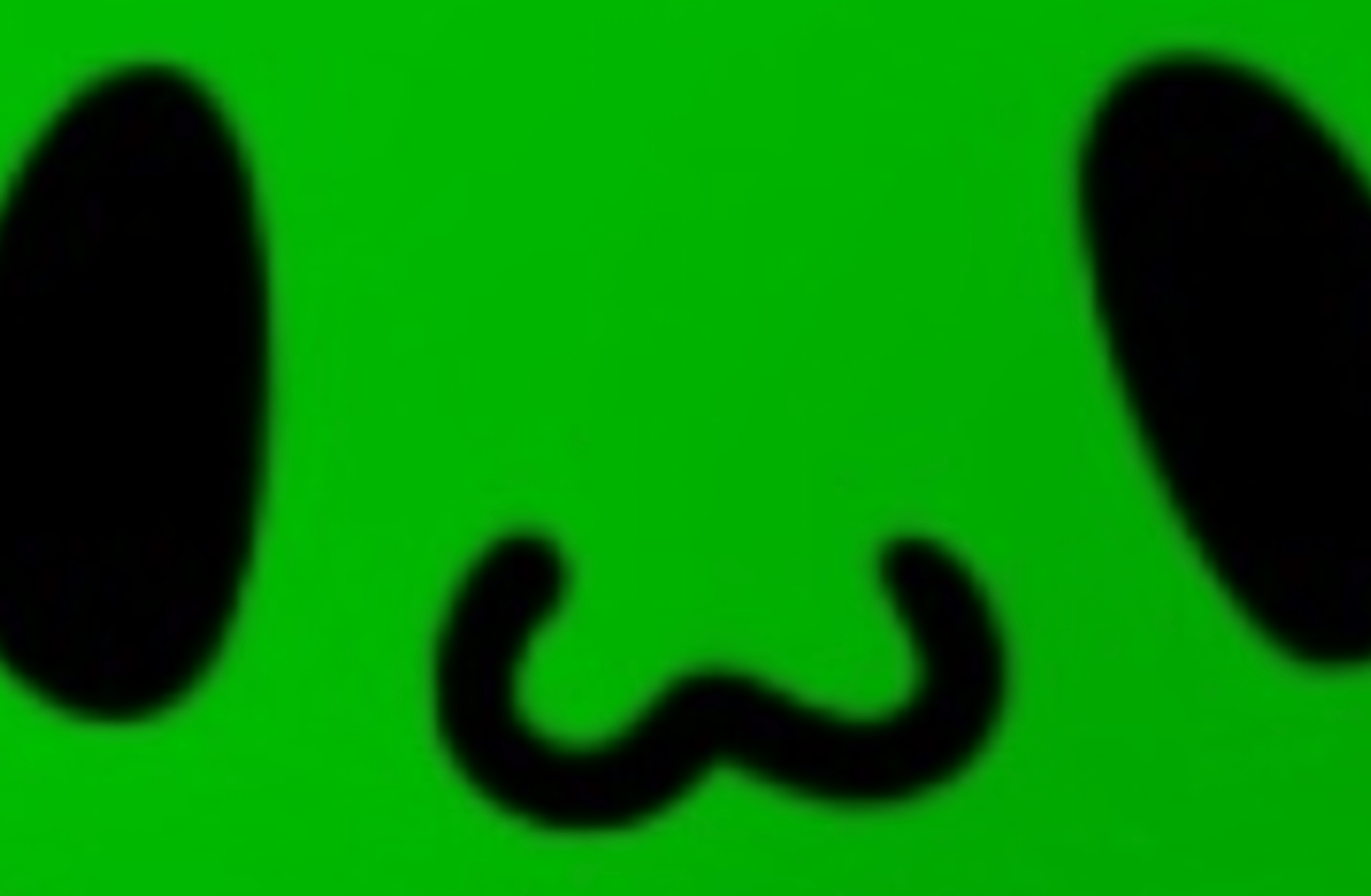 Mr galaxy