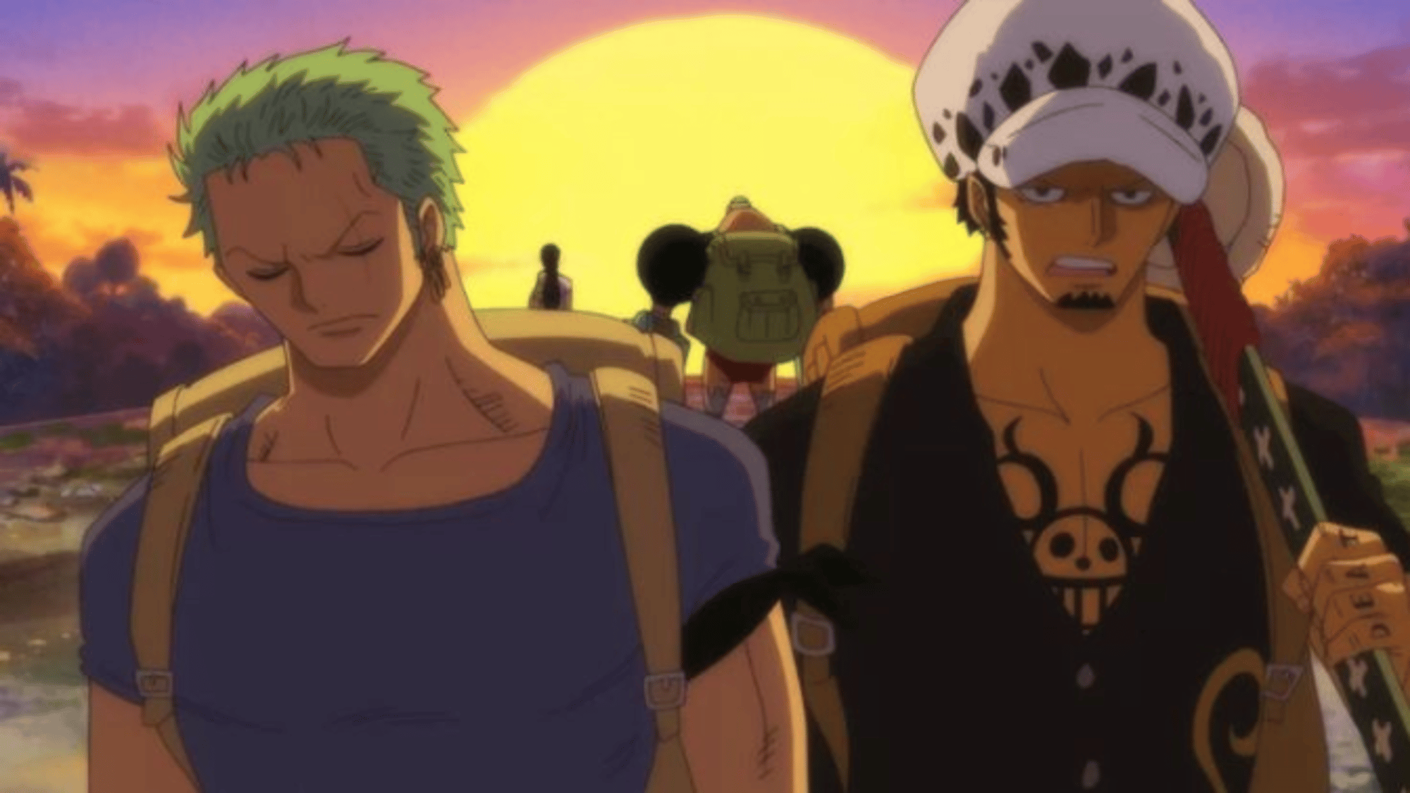 Zoro and Law