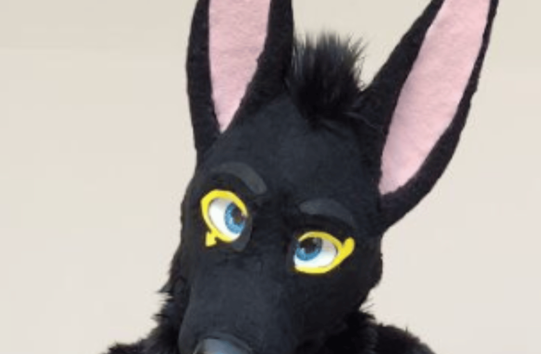 Anubis