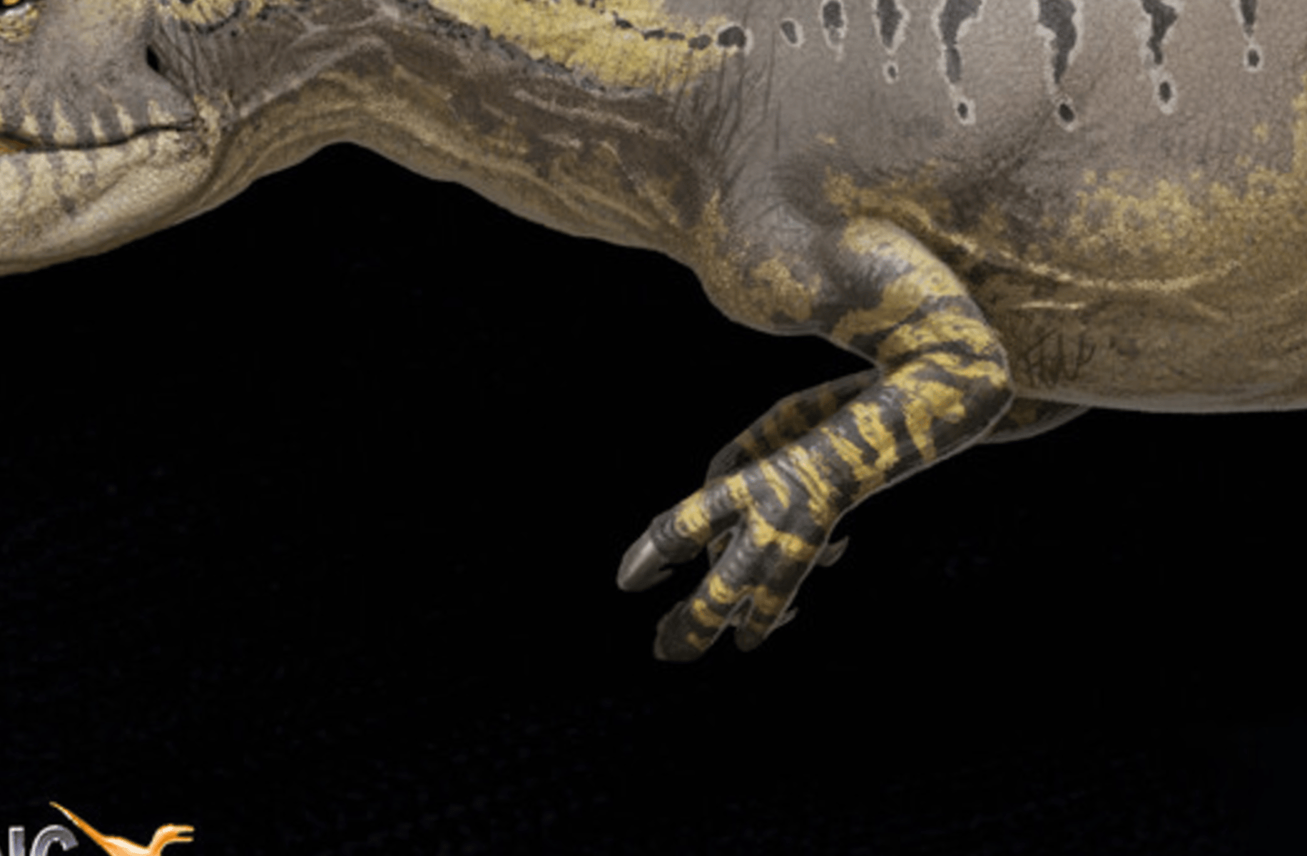 Stella the Allosaurus