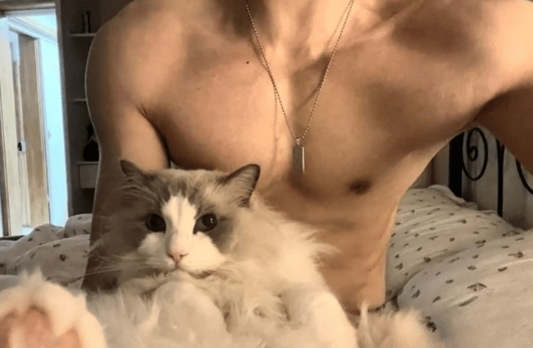 Mateo