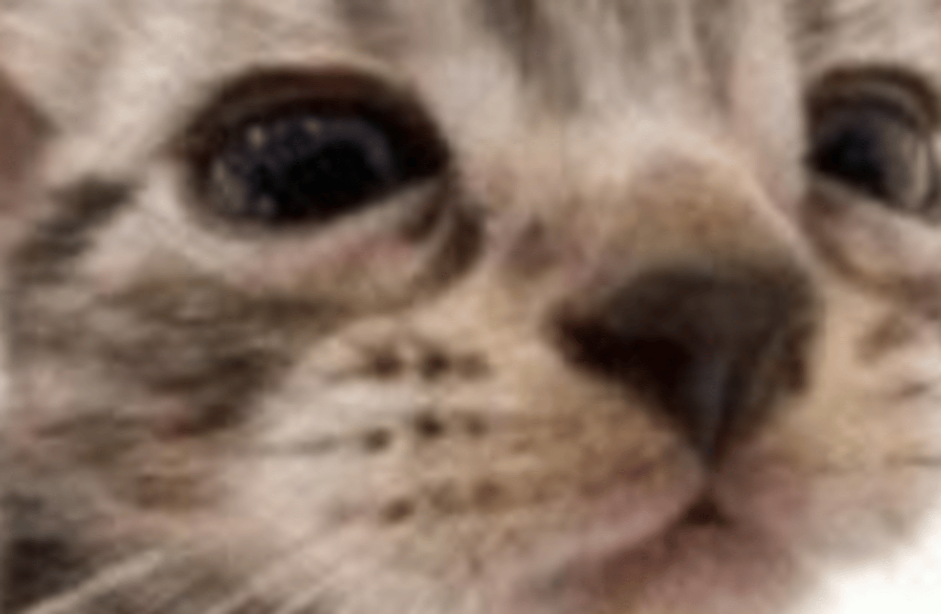 Satanick