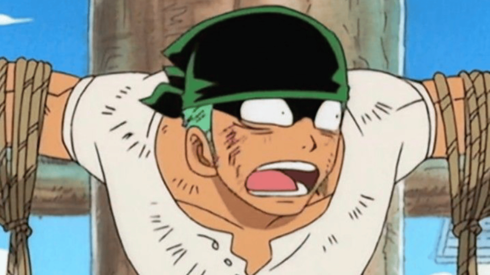 Zoro father figure
