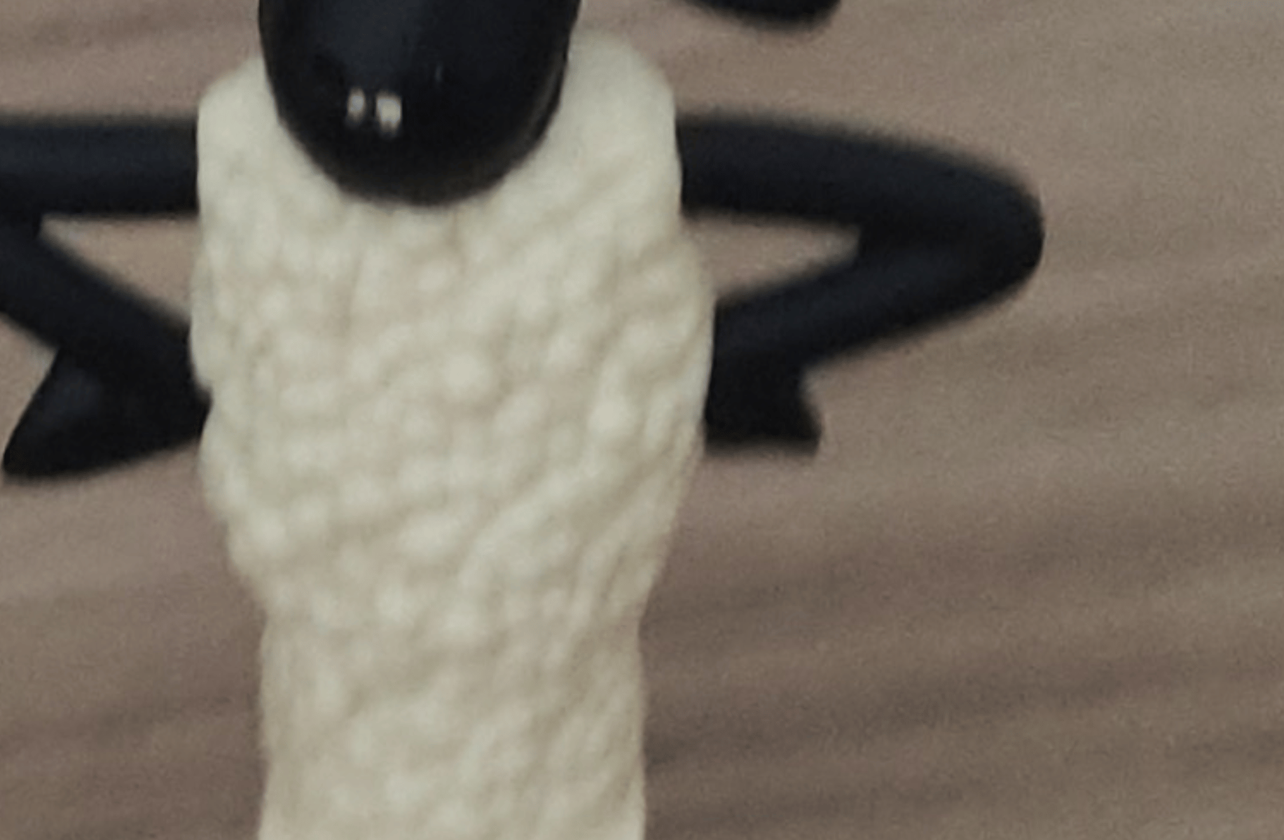 The dog
