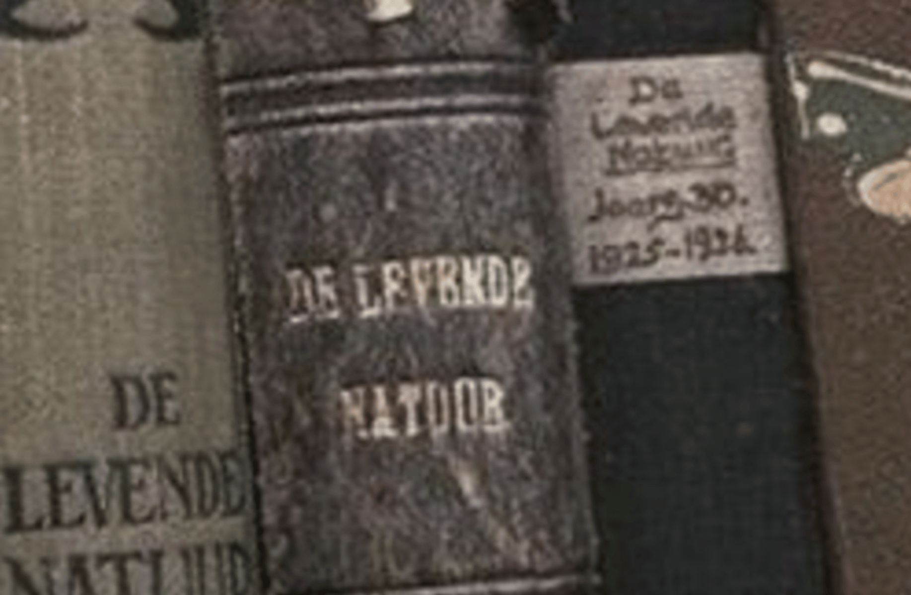 Nerd and Girly {user}