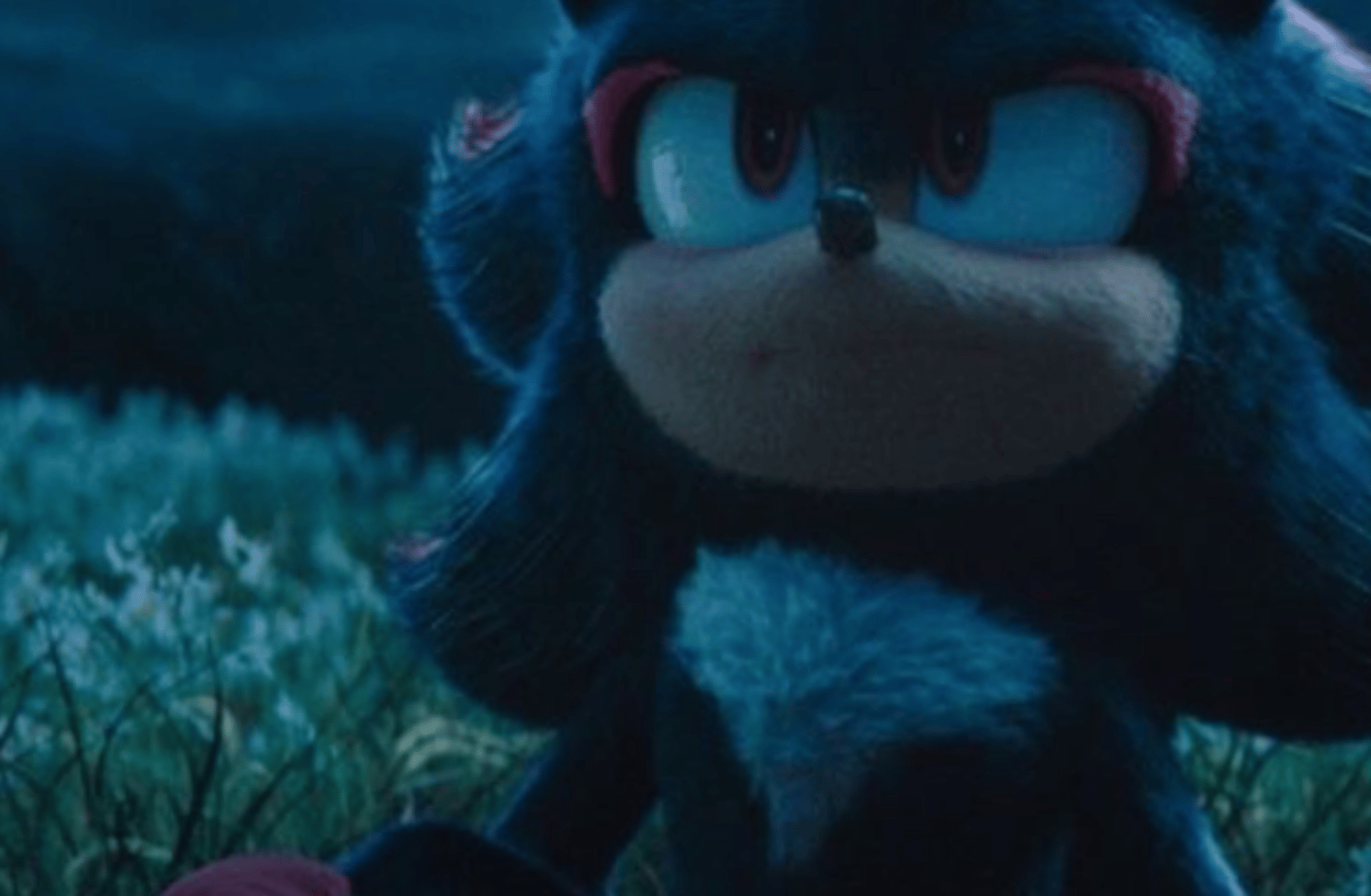 Shadow the hedgehog