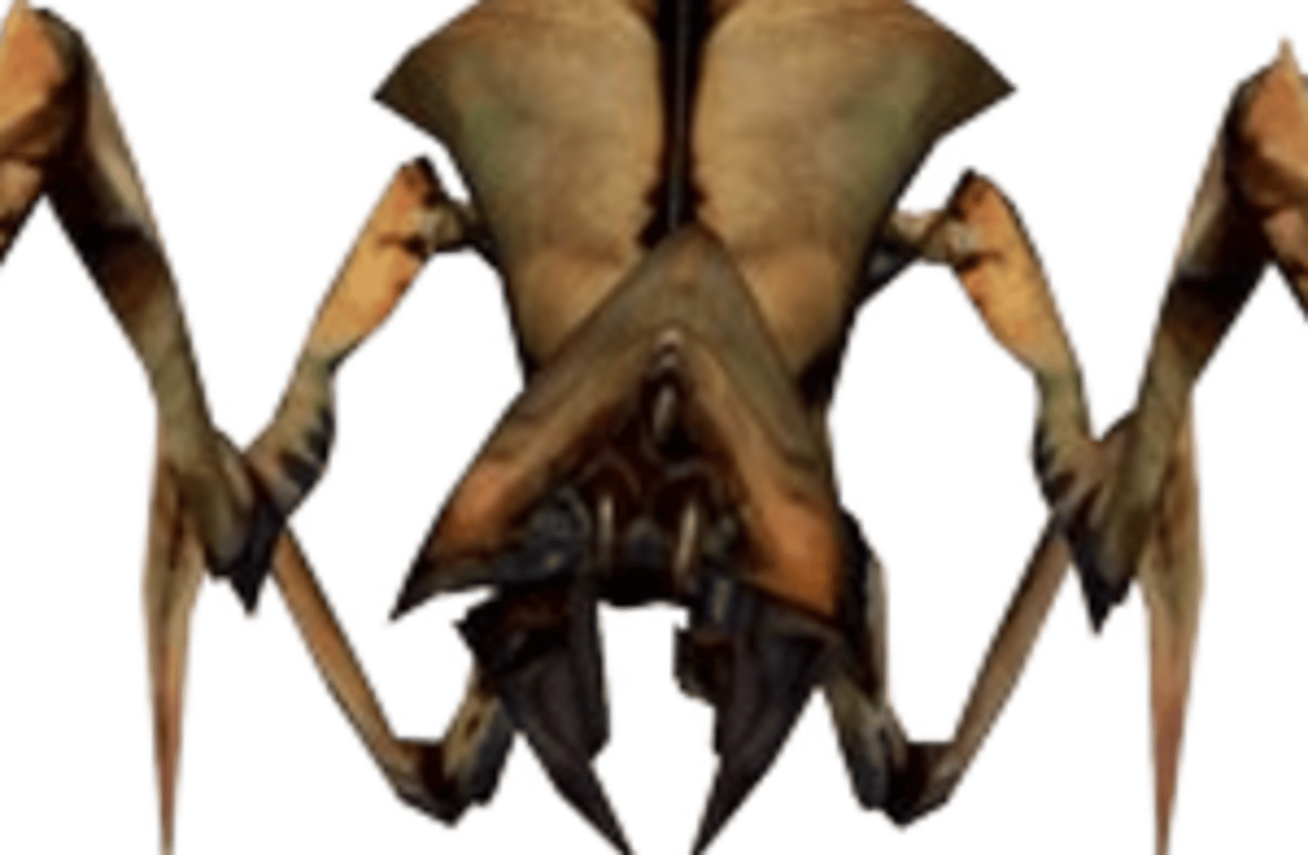 Antlion (Half-Life 2)