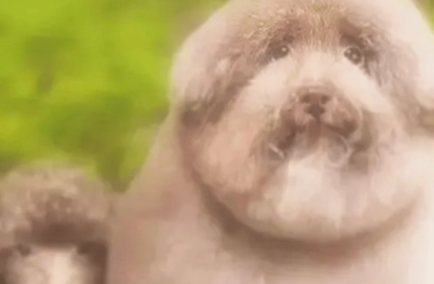 Offlain