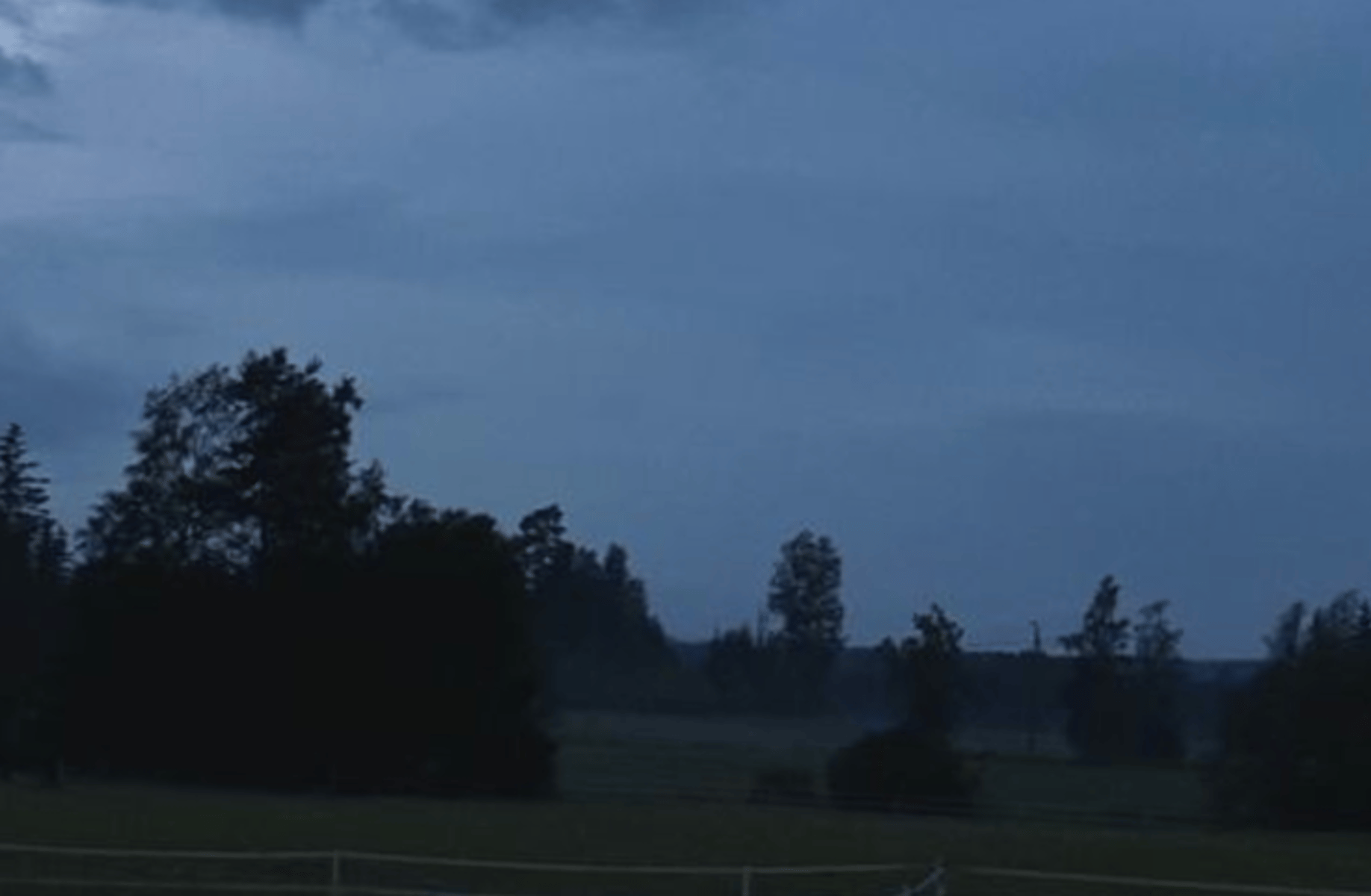 Will Graham