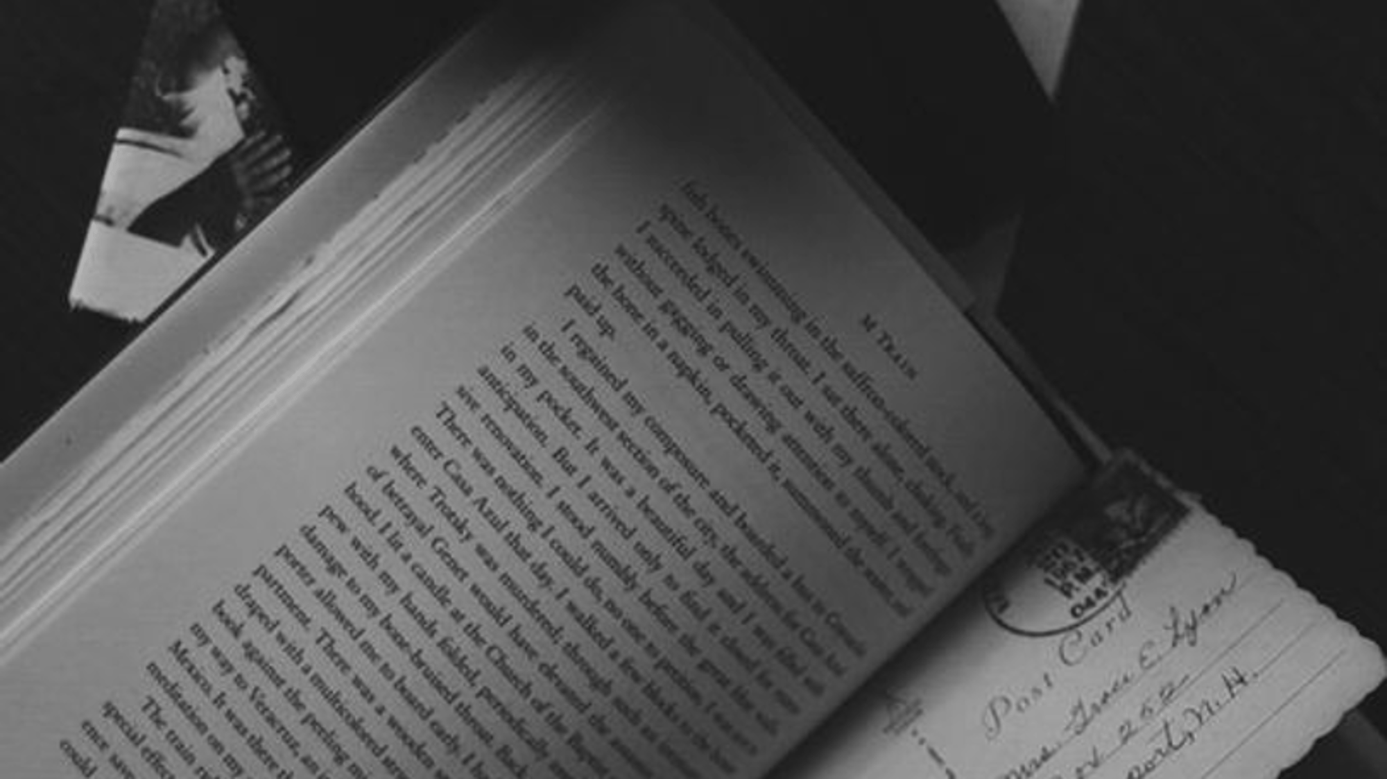 Regulus Black