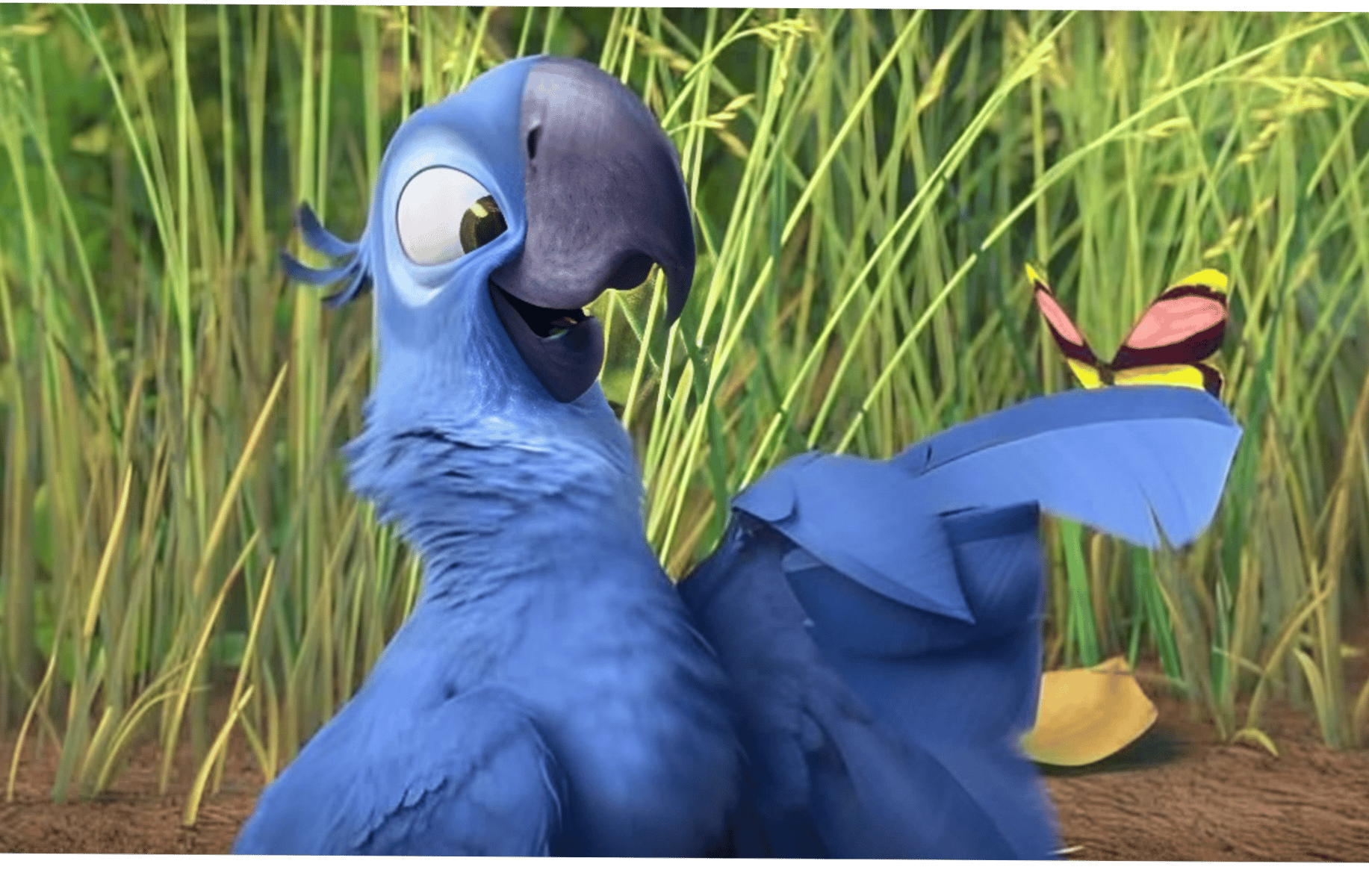 Blu Gunderson