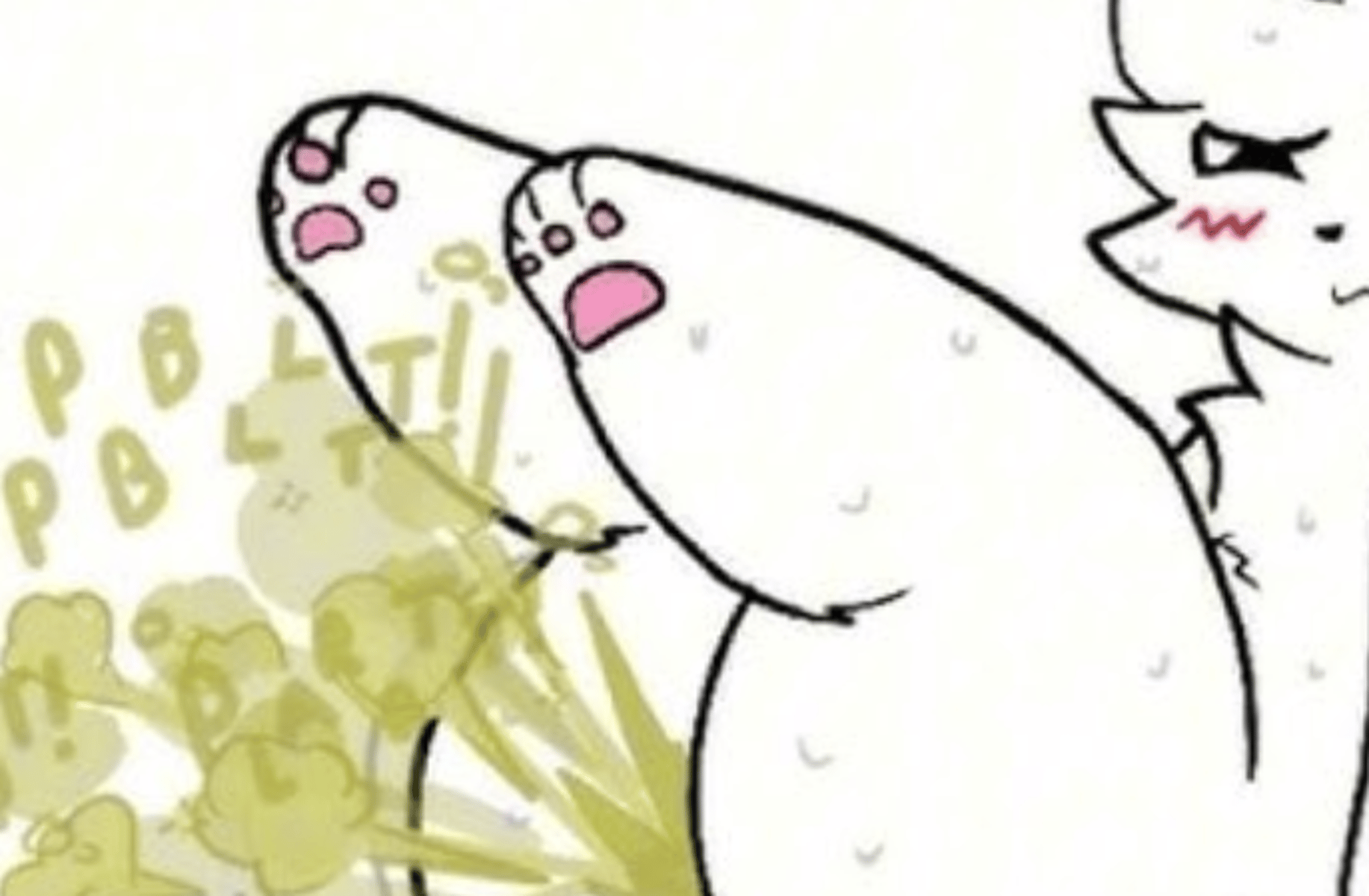 Boykisser (Fart fetish)