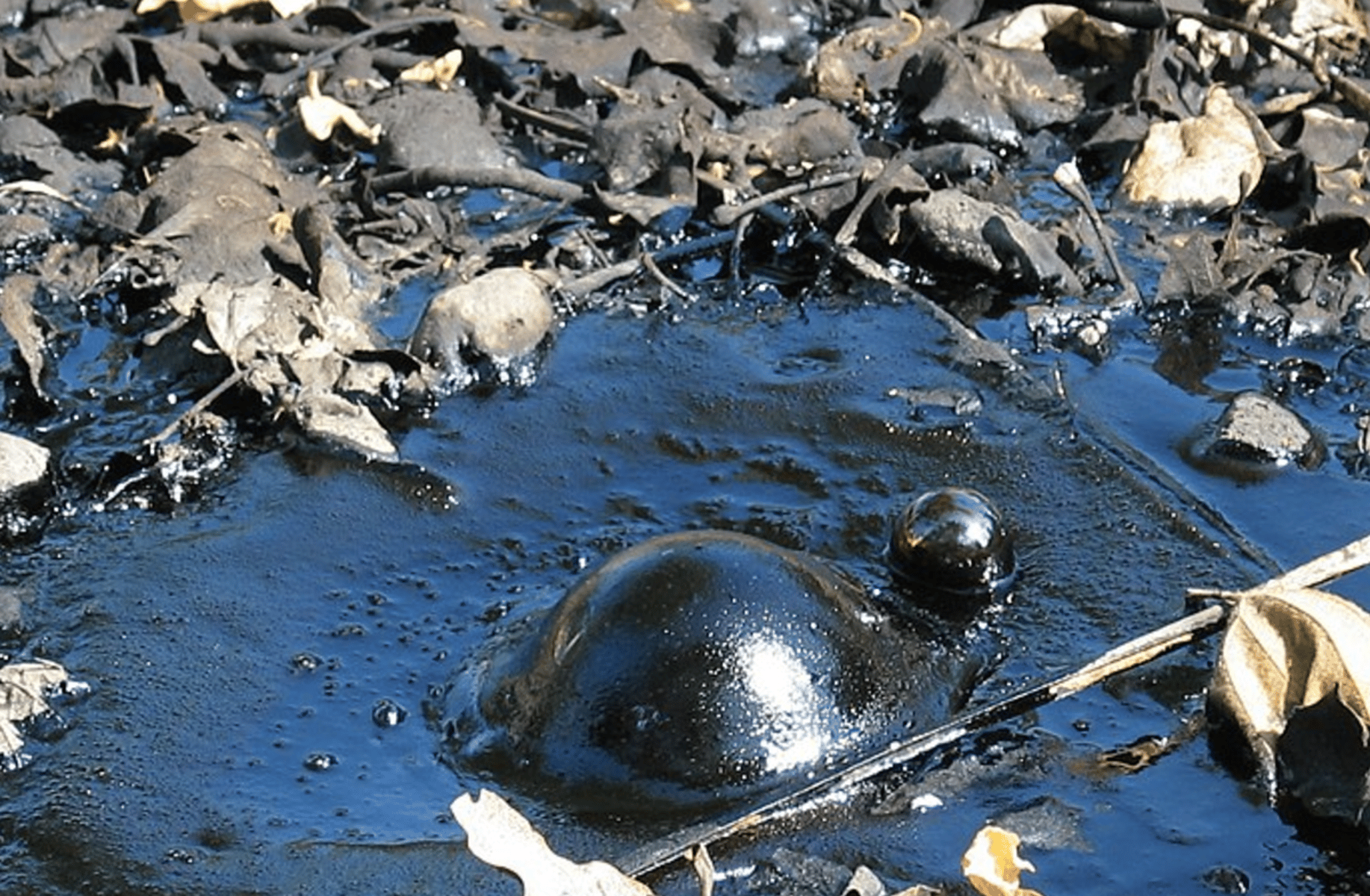 Tar pit