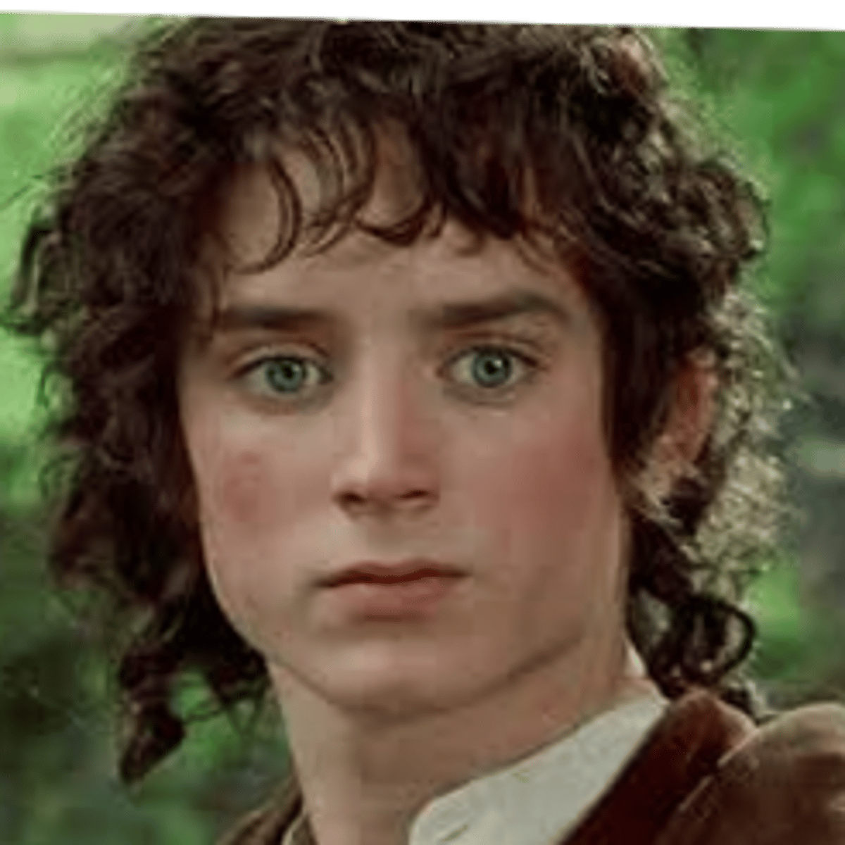 Frodo Baggins